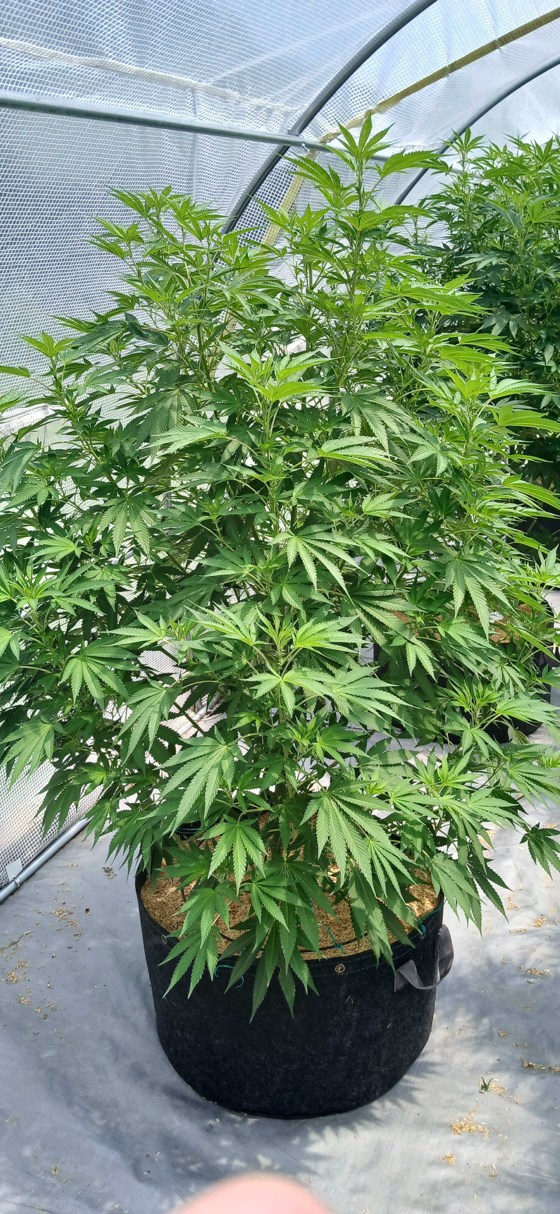 20260720_115719.jpg