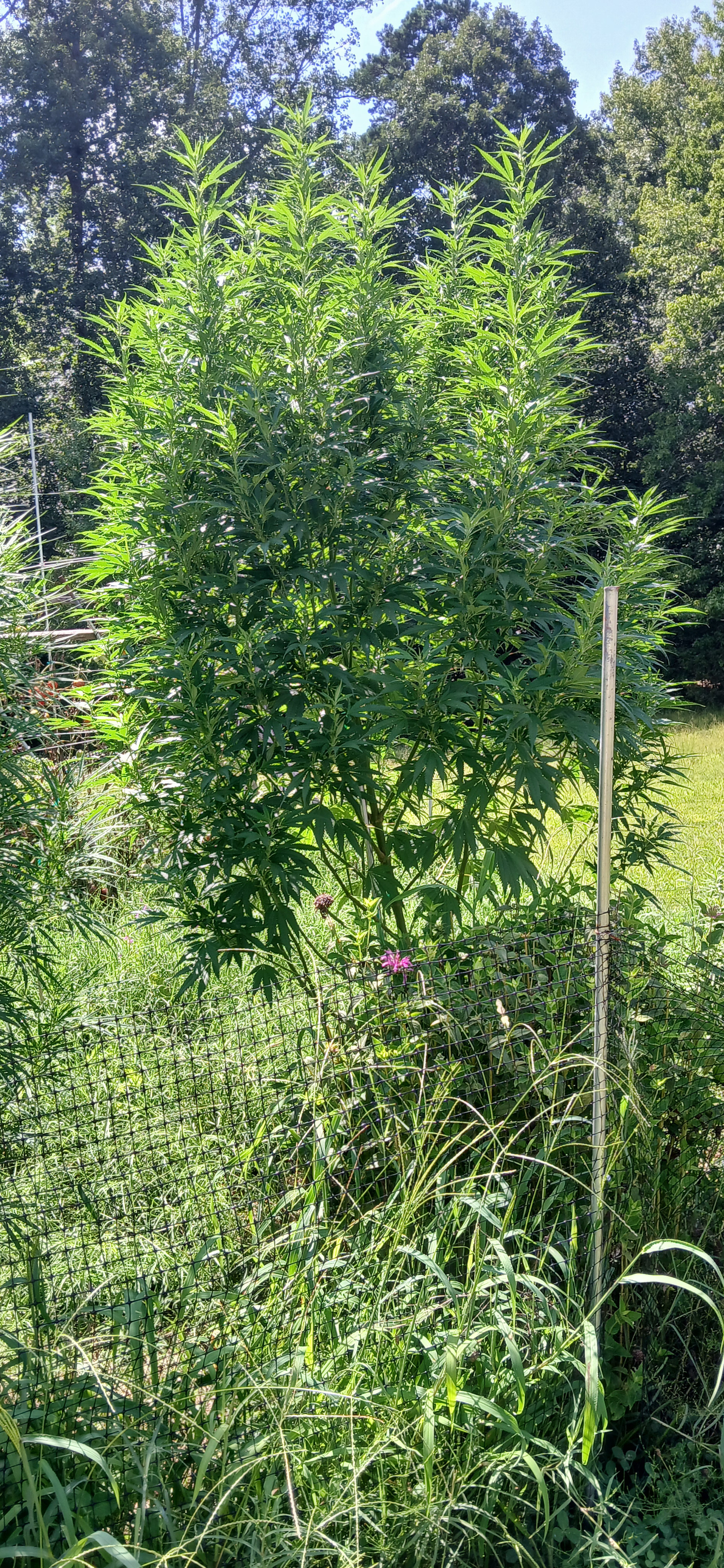 20260817_144625.jpg