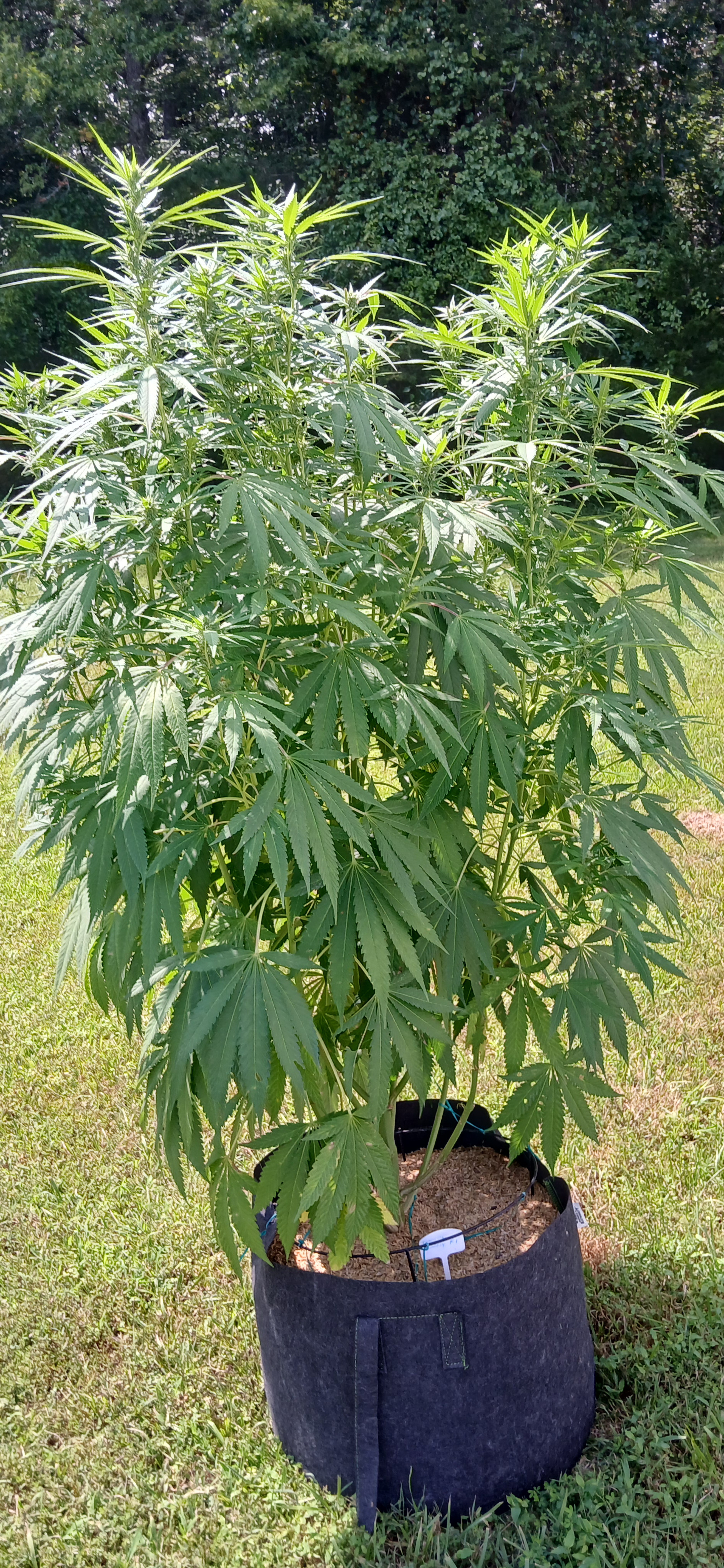 20260817_144807.jpg