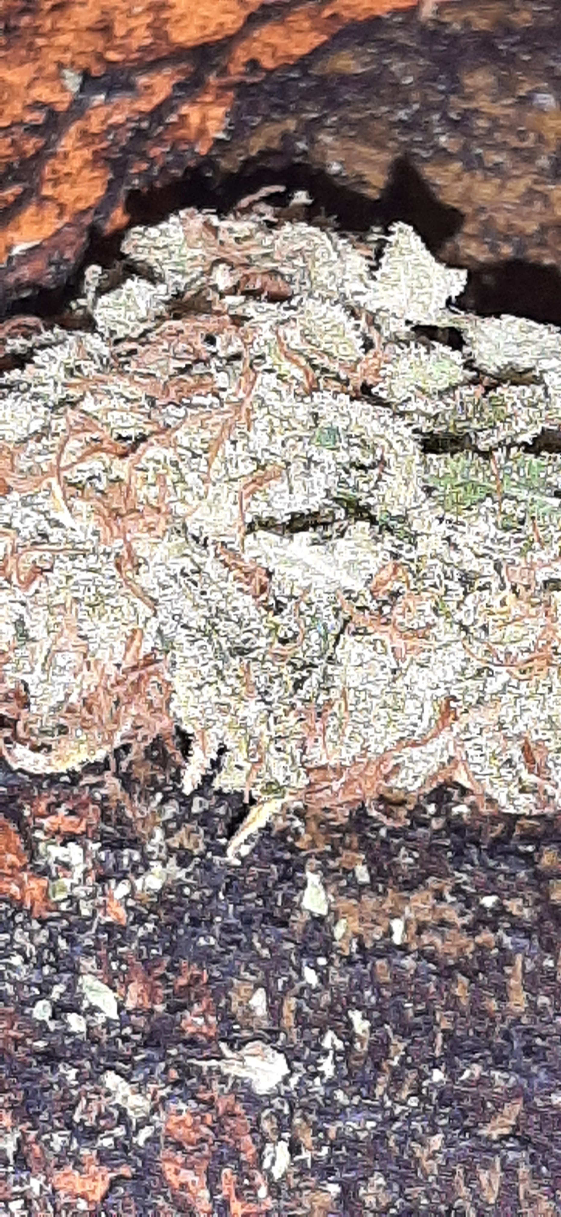 20260918_185511.jpg