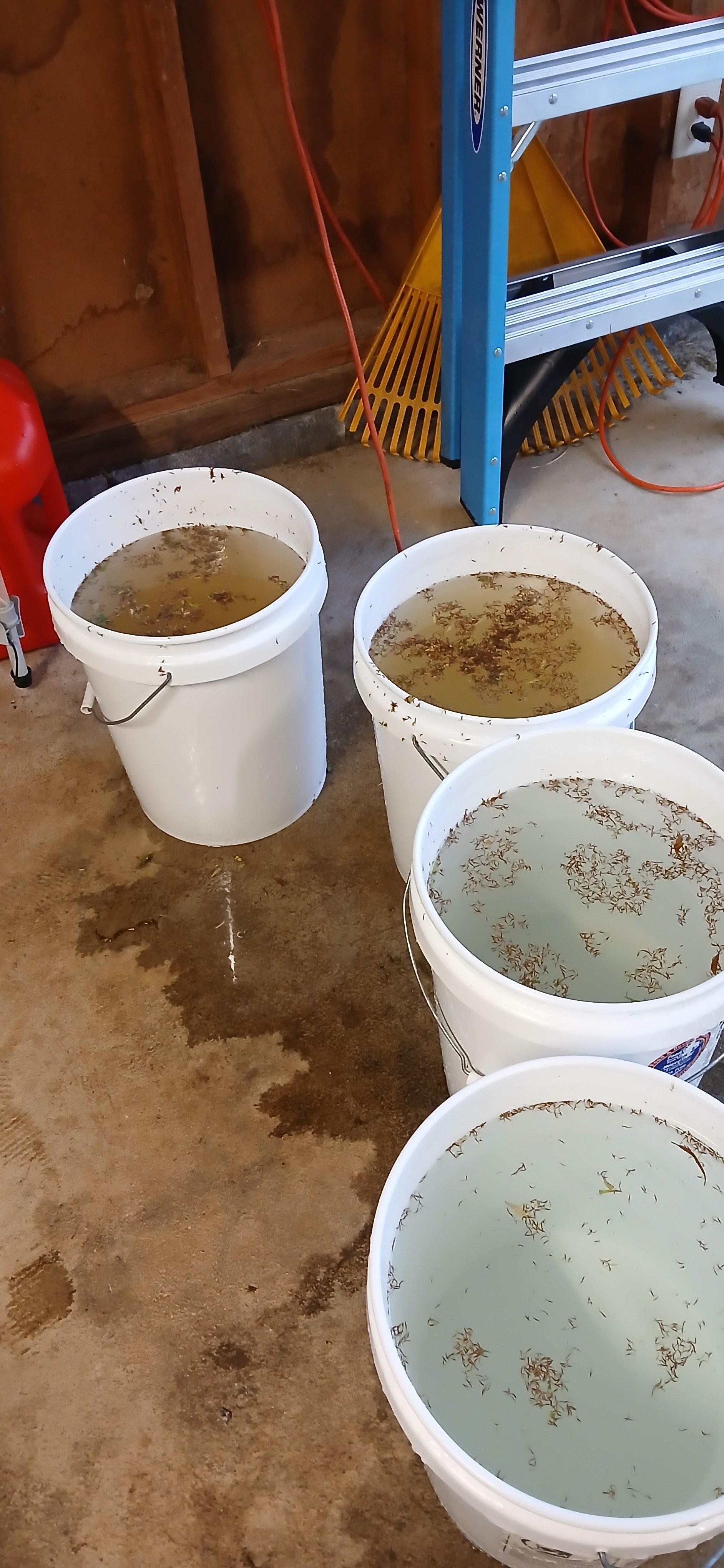 20260921_170752.jpg