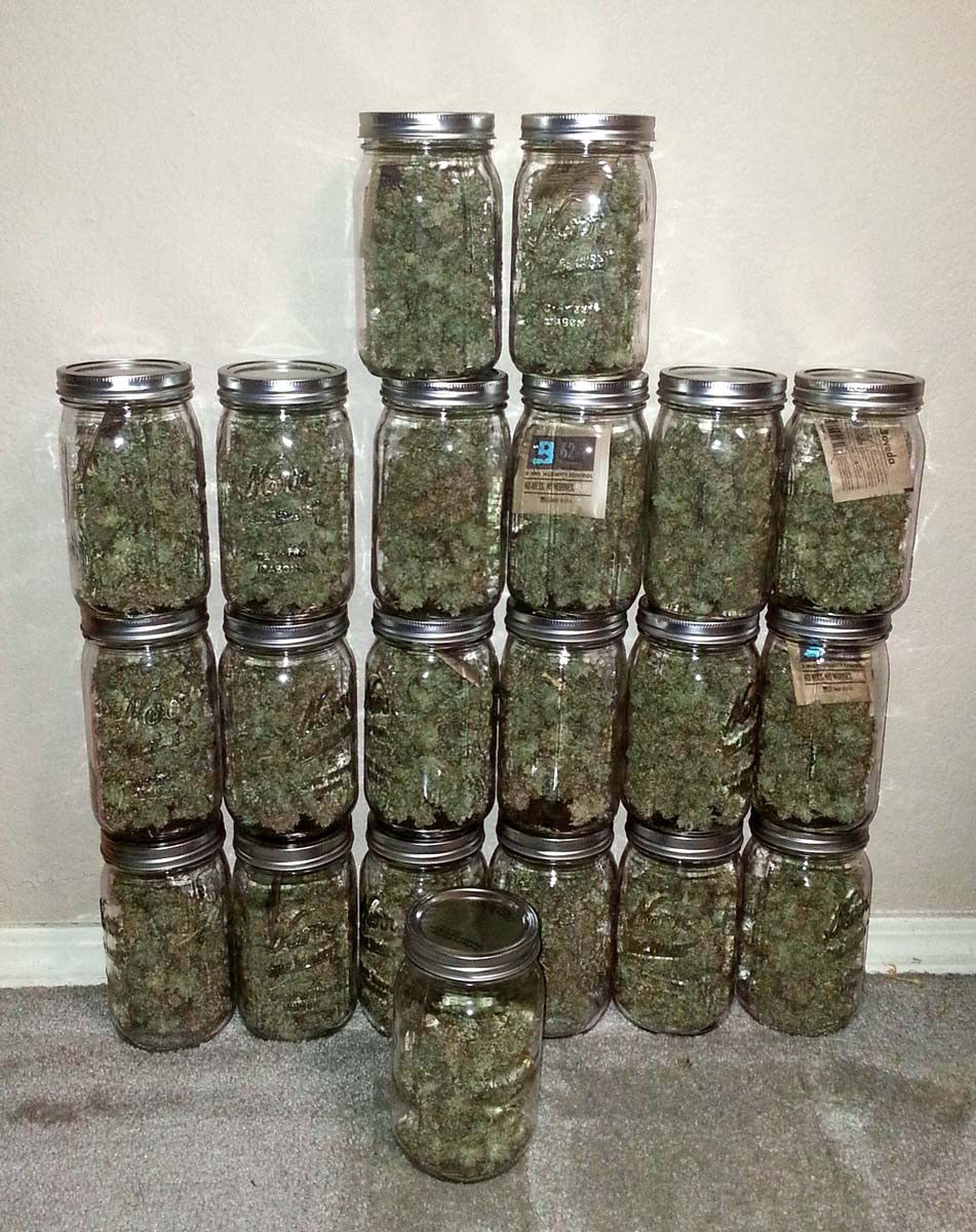 20oz-harvest-in-jars-with-boveda-humidipaks-to-maintain-humidity.jpg