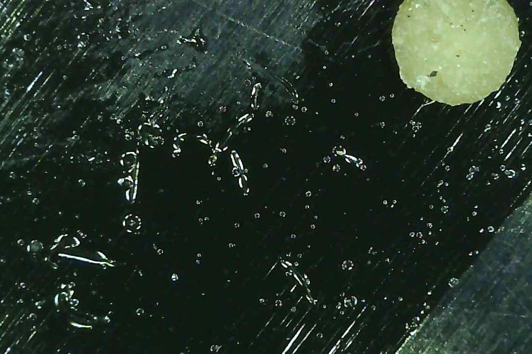 285B04B7-9306-448B-8688-C95147194CB8.jpeg