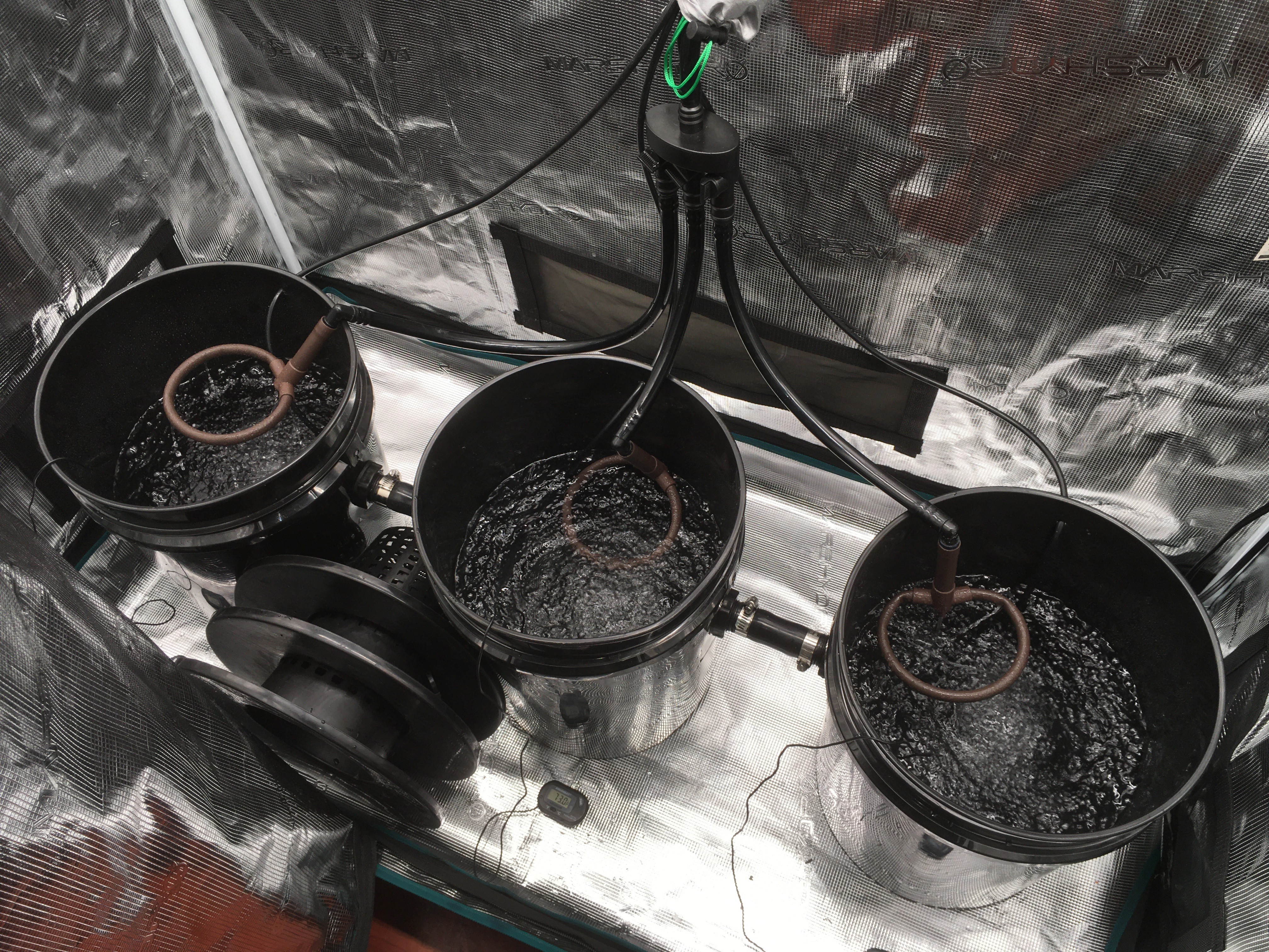 3 dwc bucket 4.jpg