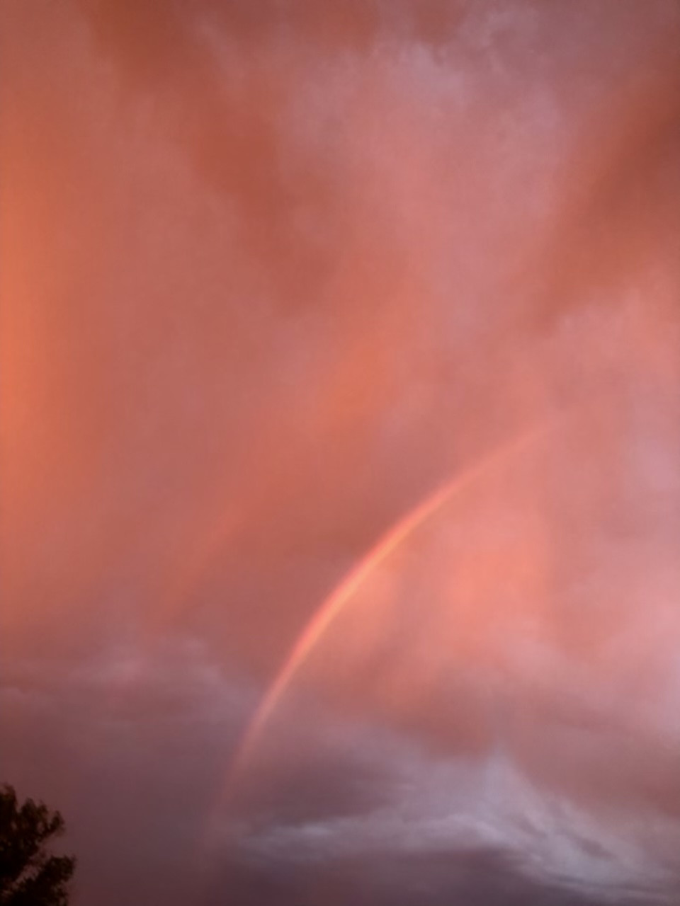 3649AEF8-8F20-493D-B84A-ED7CB0A76D07.jpeg