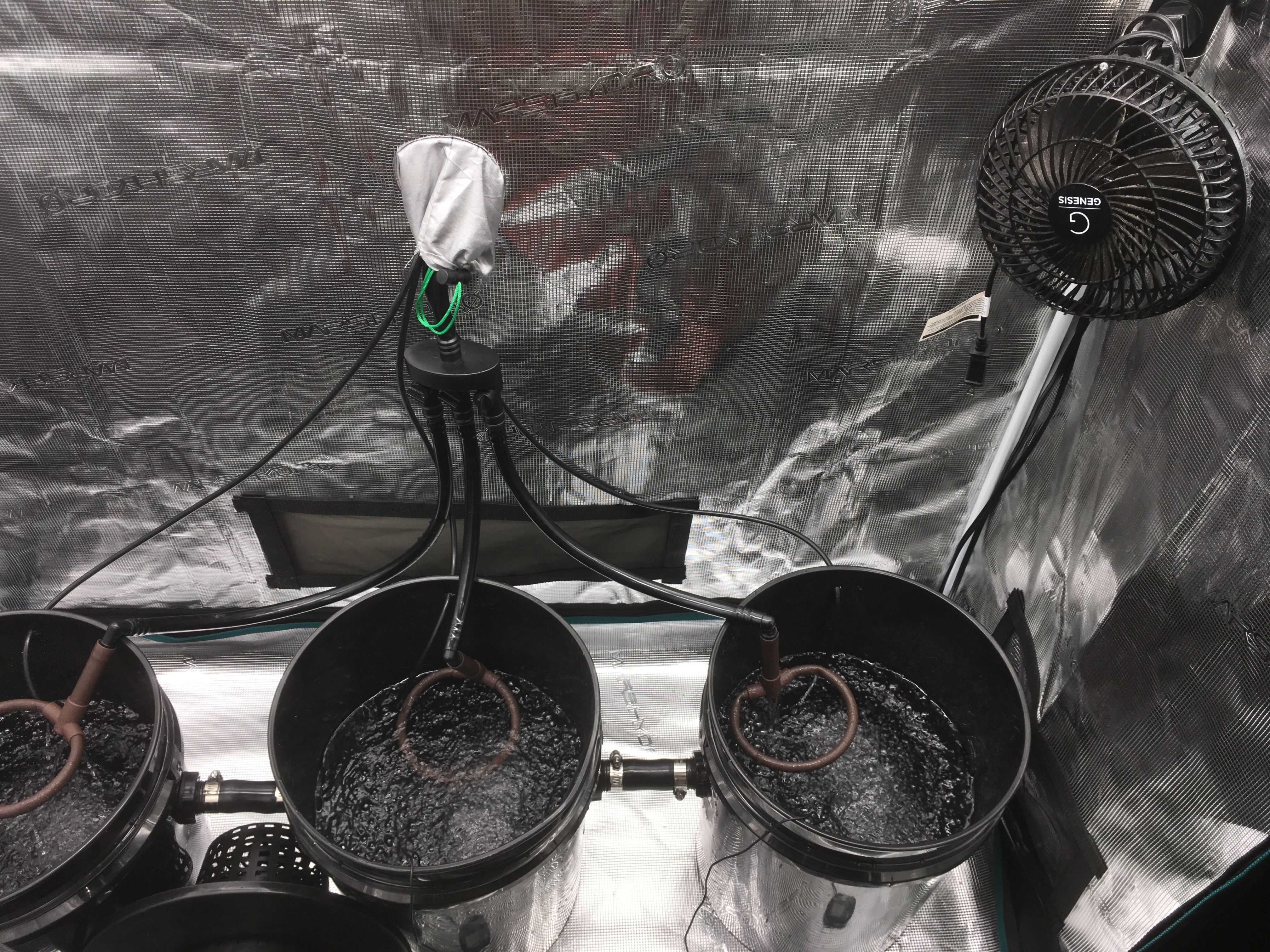 5 gal dwc:circulating fan 4.jpg