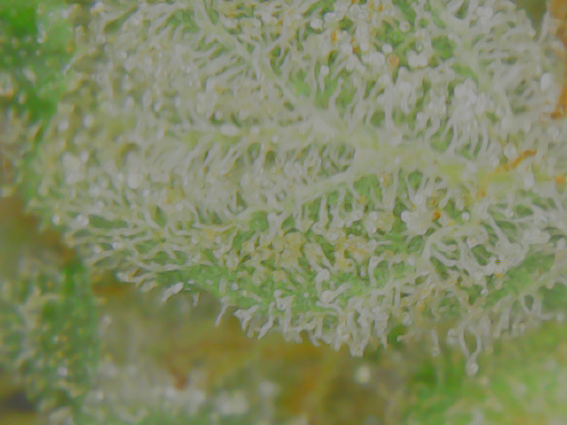 6B1667E6-F43B-4C70-8AC8-5DD0A381106E.png
