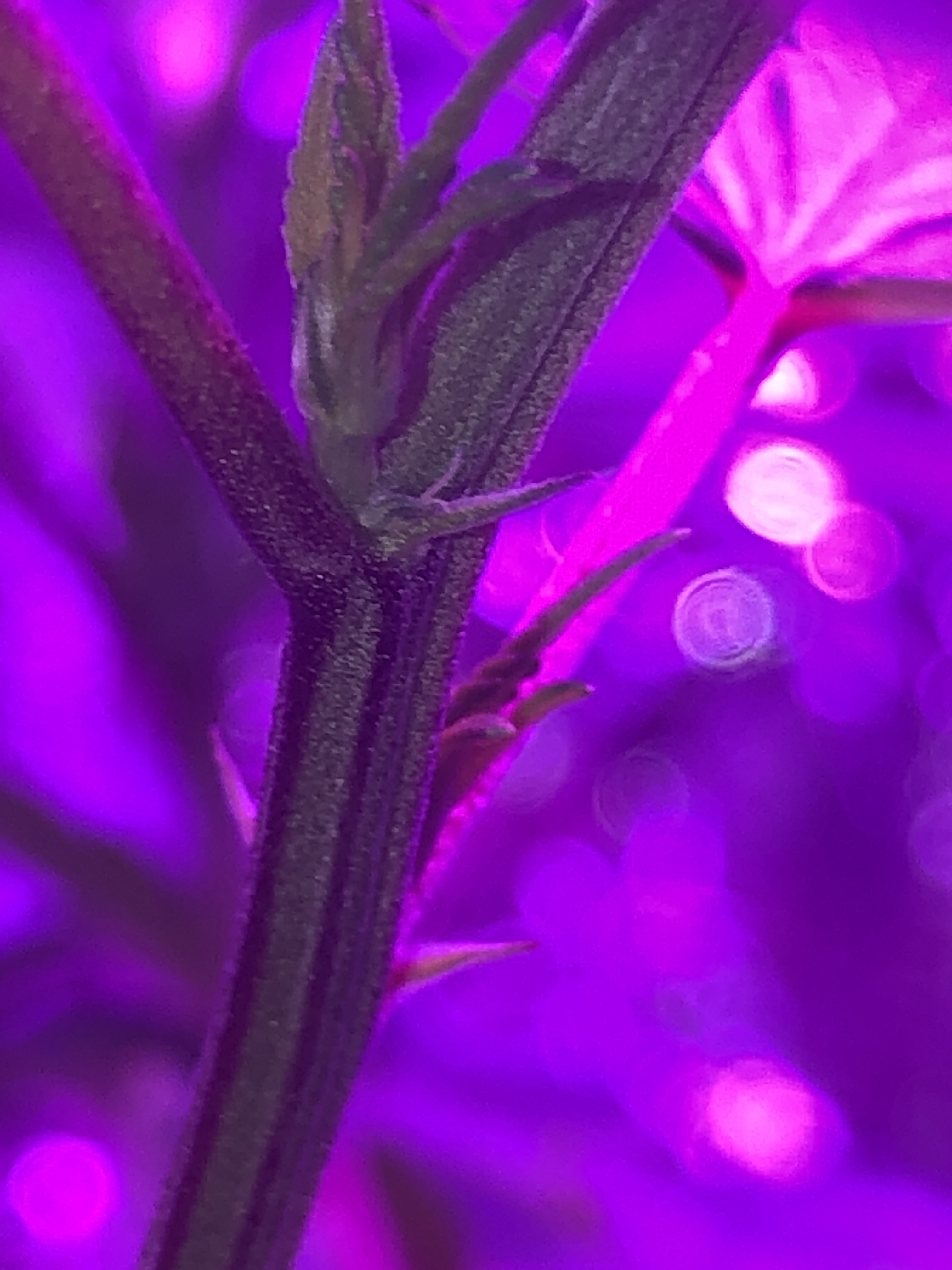 740E06C0-DF5C-4BBC-93CE-4116381B43D5.jpeg