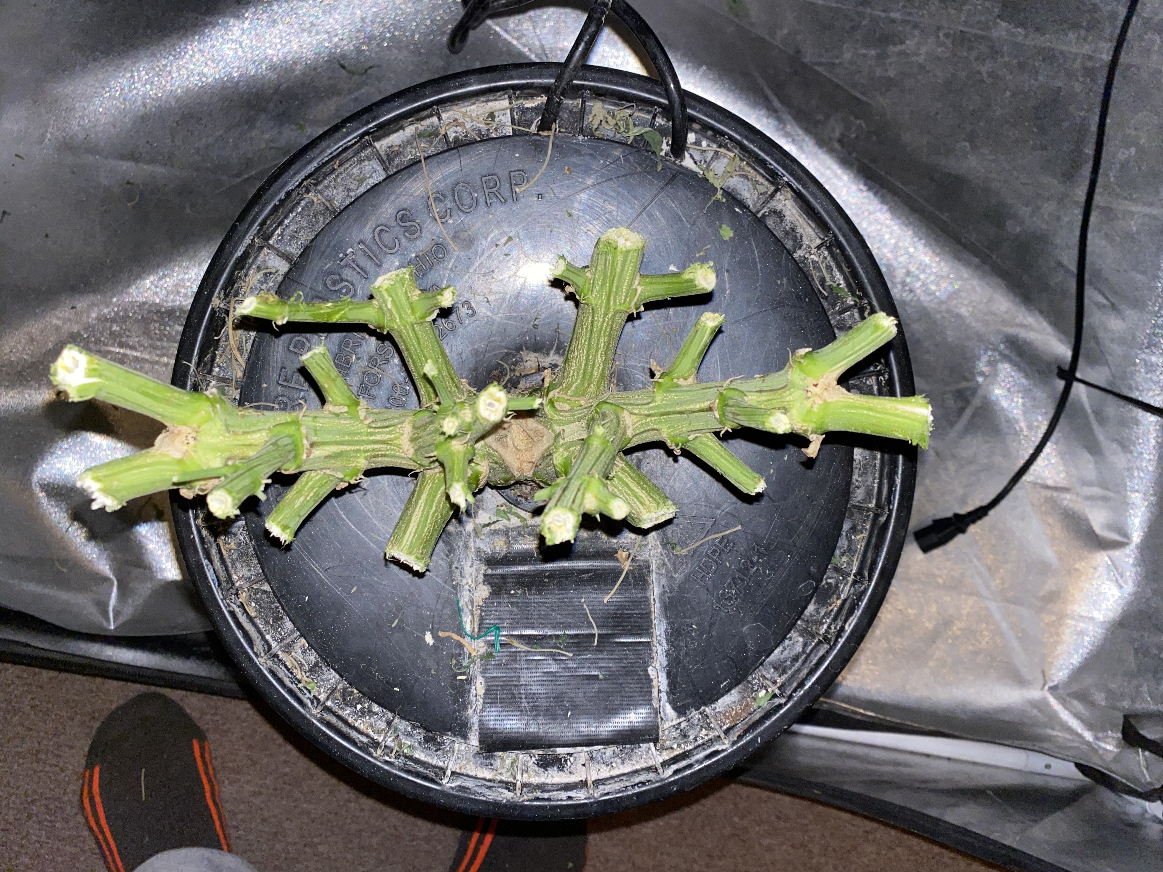 Click image for larger version  Name:	8DB30D3A-824C-453B-9152-FDF24A27C14B.jpeg Views:	0 Size:	3.29 MB ID:	471928
