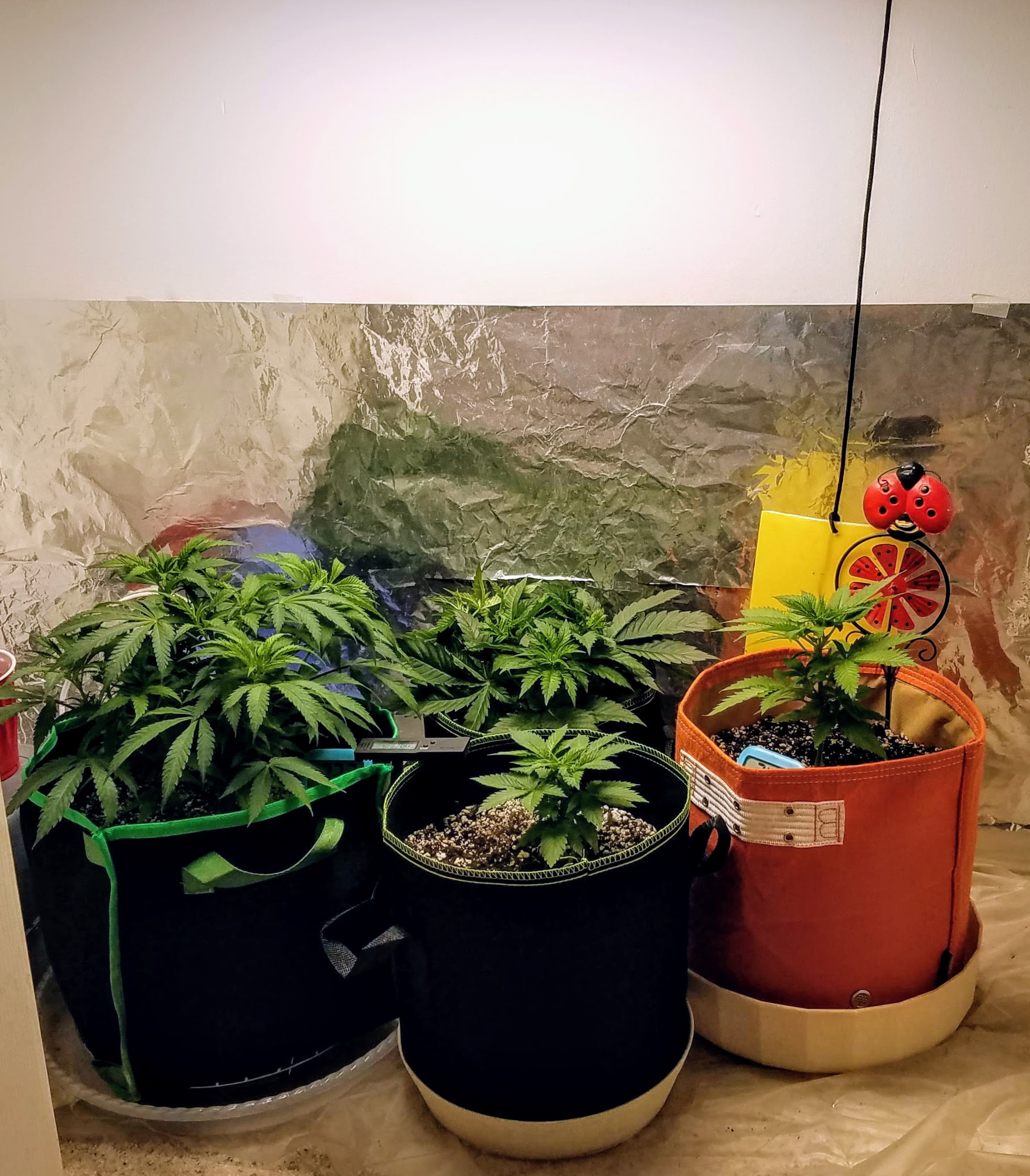 9-14Closet.jpg