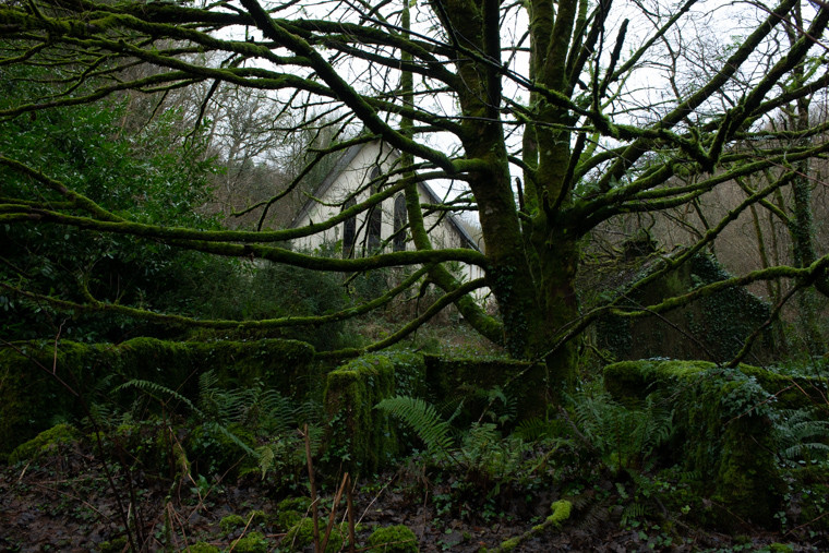 _D8E7834.jpg