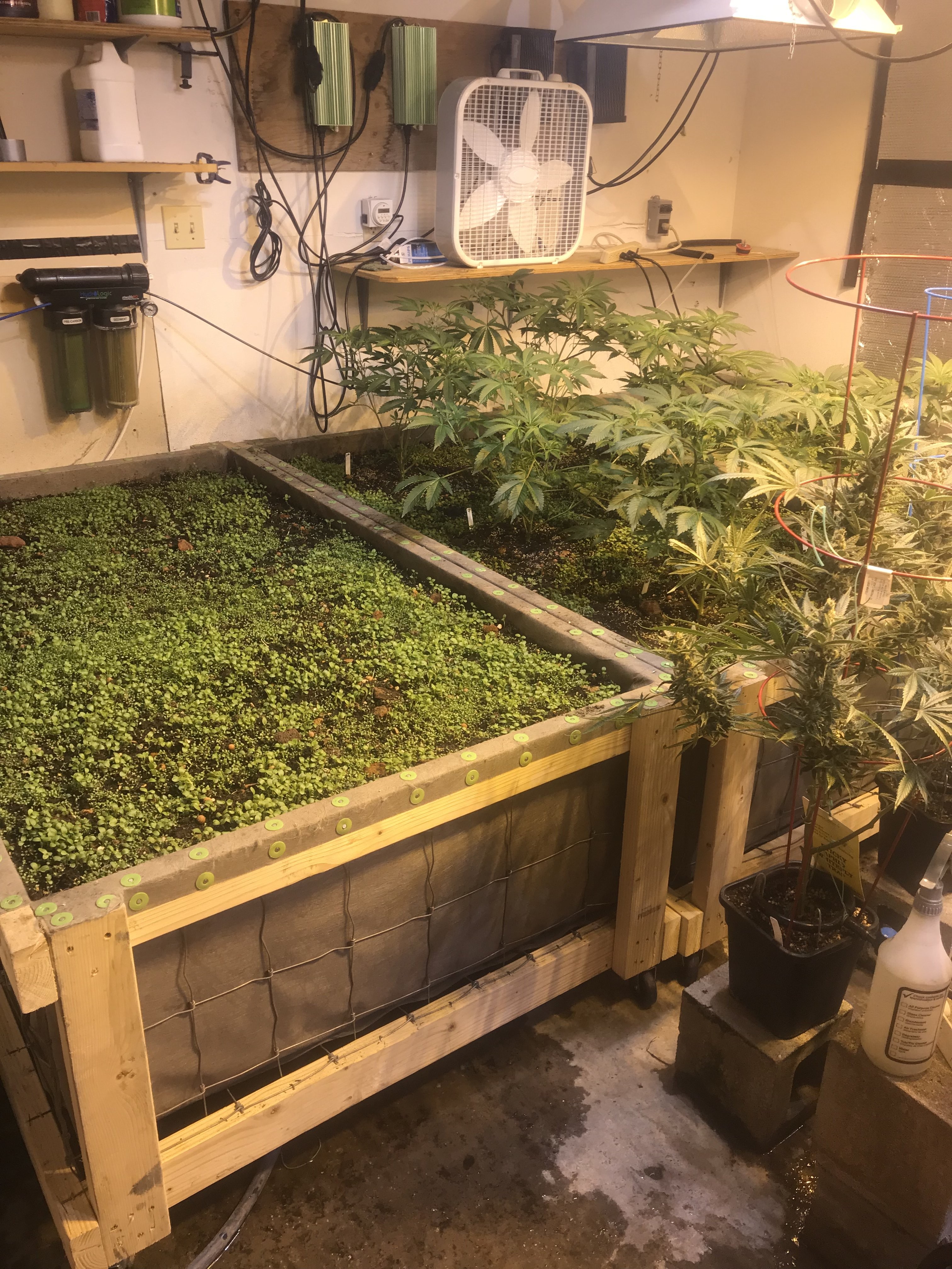 A42D45D6-5A61-4559-BB9C-0177313A4757.jpeg