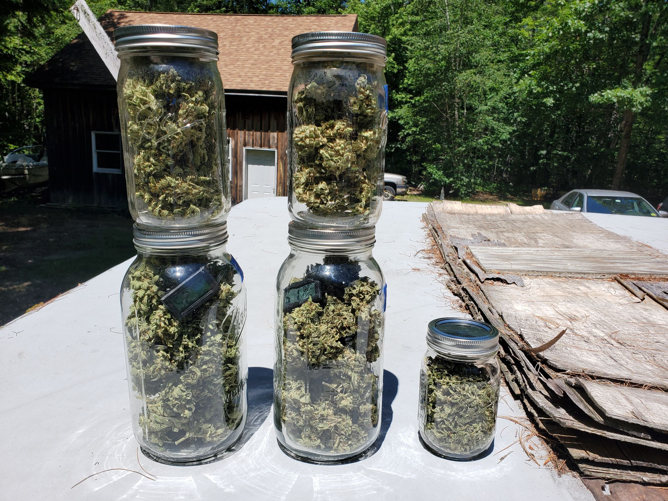 AG IN JARS A.jpg