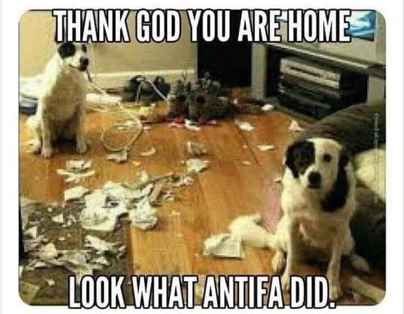 AntifaDogMeme.jpg