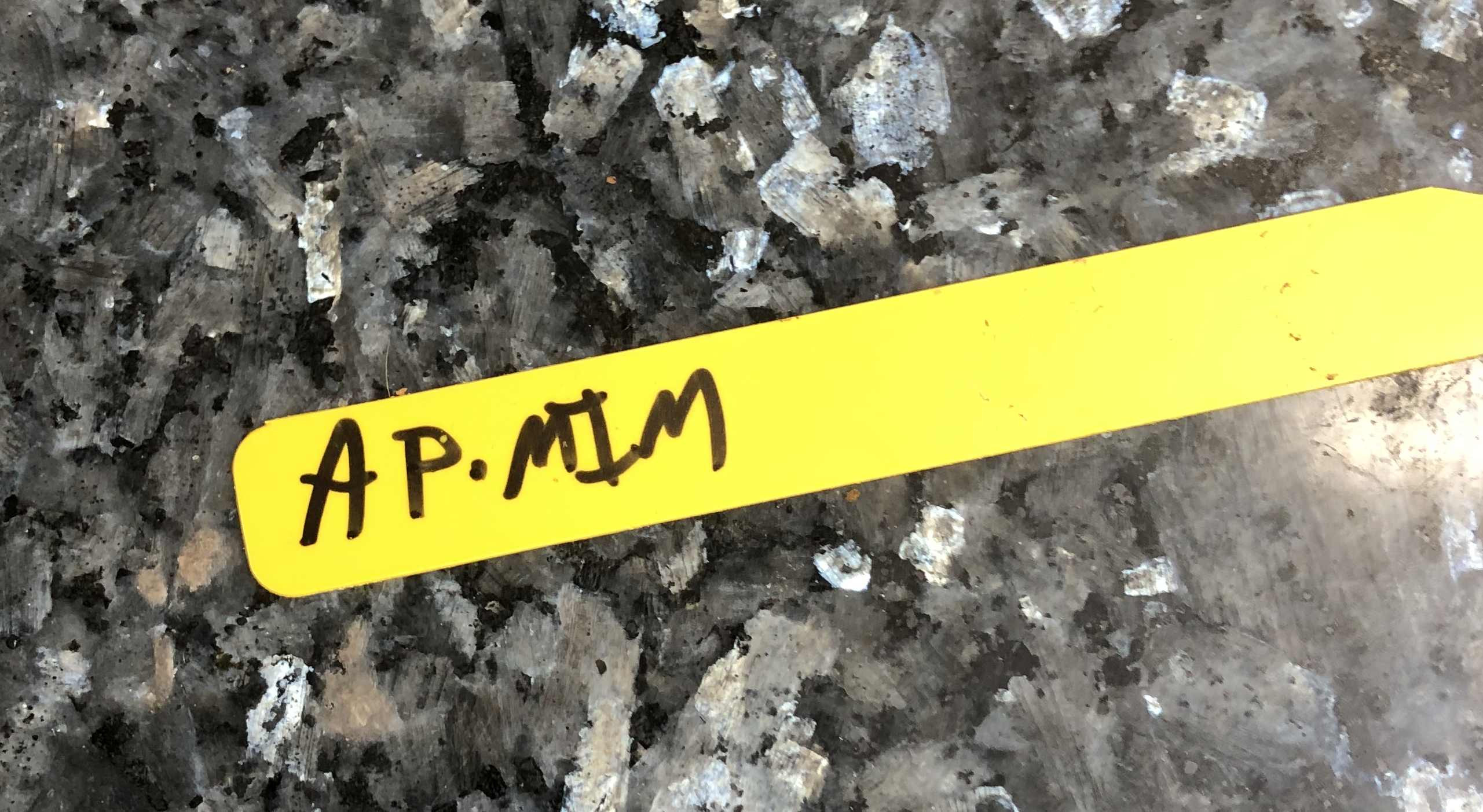 AP-MIM.jpg