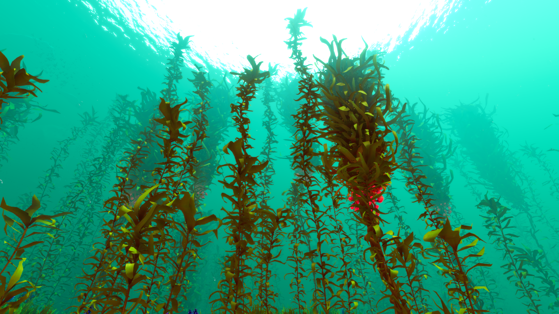 Arctic_Kelp_Forest_Biome.png