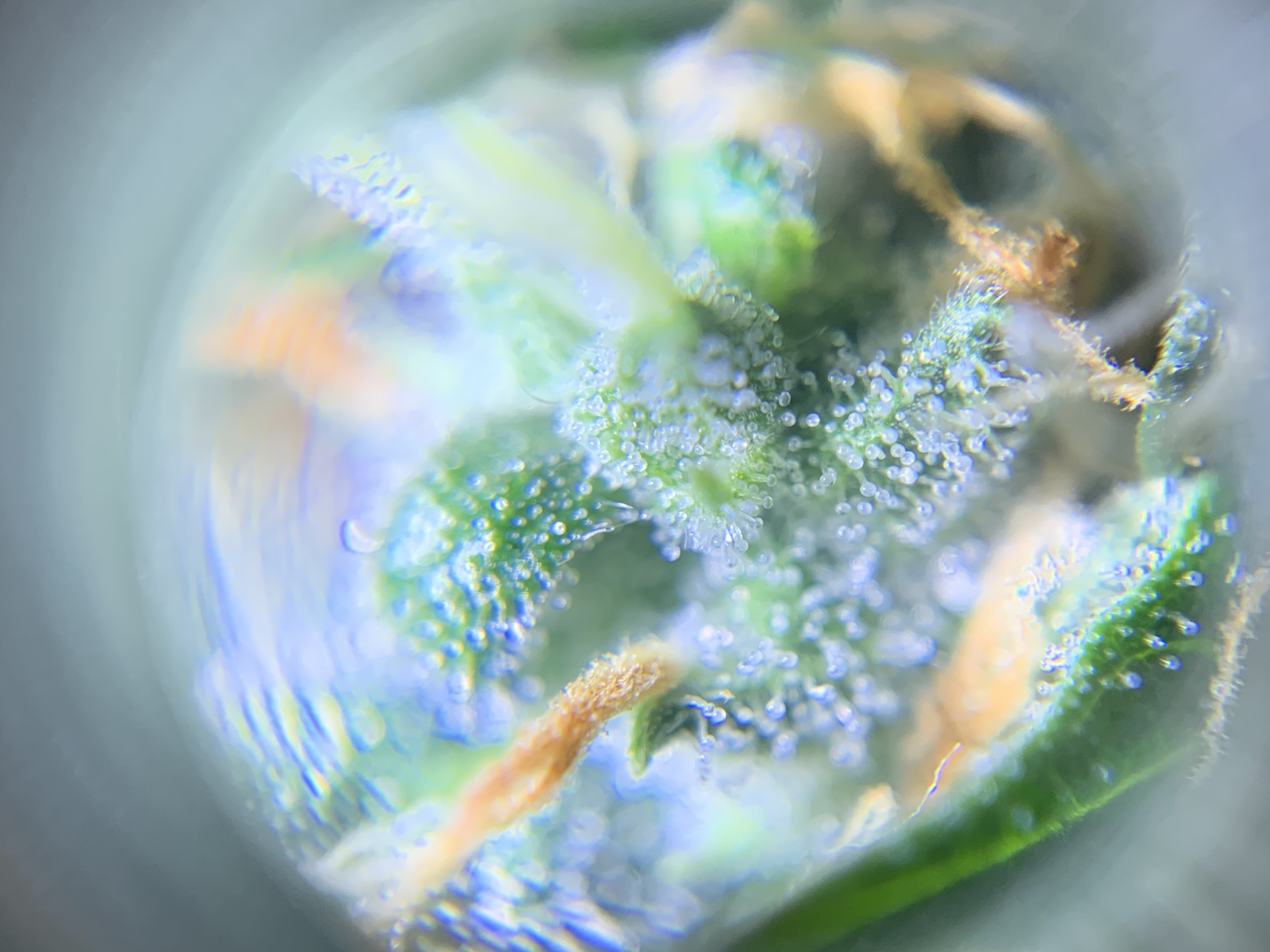 B9673AC1-EF65-49F0-B33E-C49755210AEE.jpeg