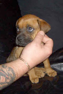 babybella2.jpg