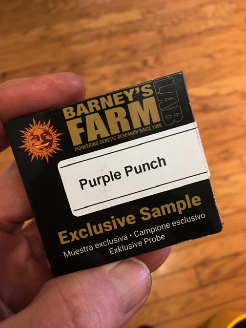 Barney-LAB.jpg