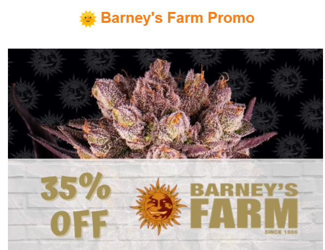barney.PNG