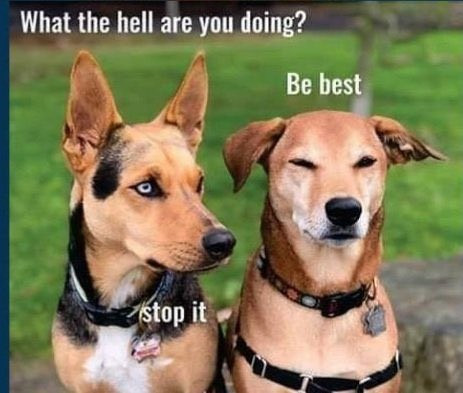 BeBest.jpg