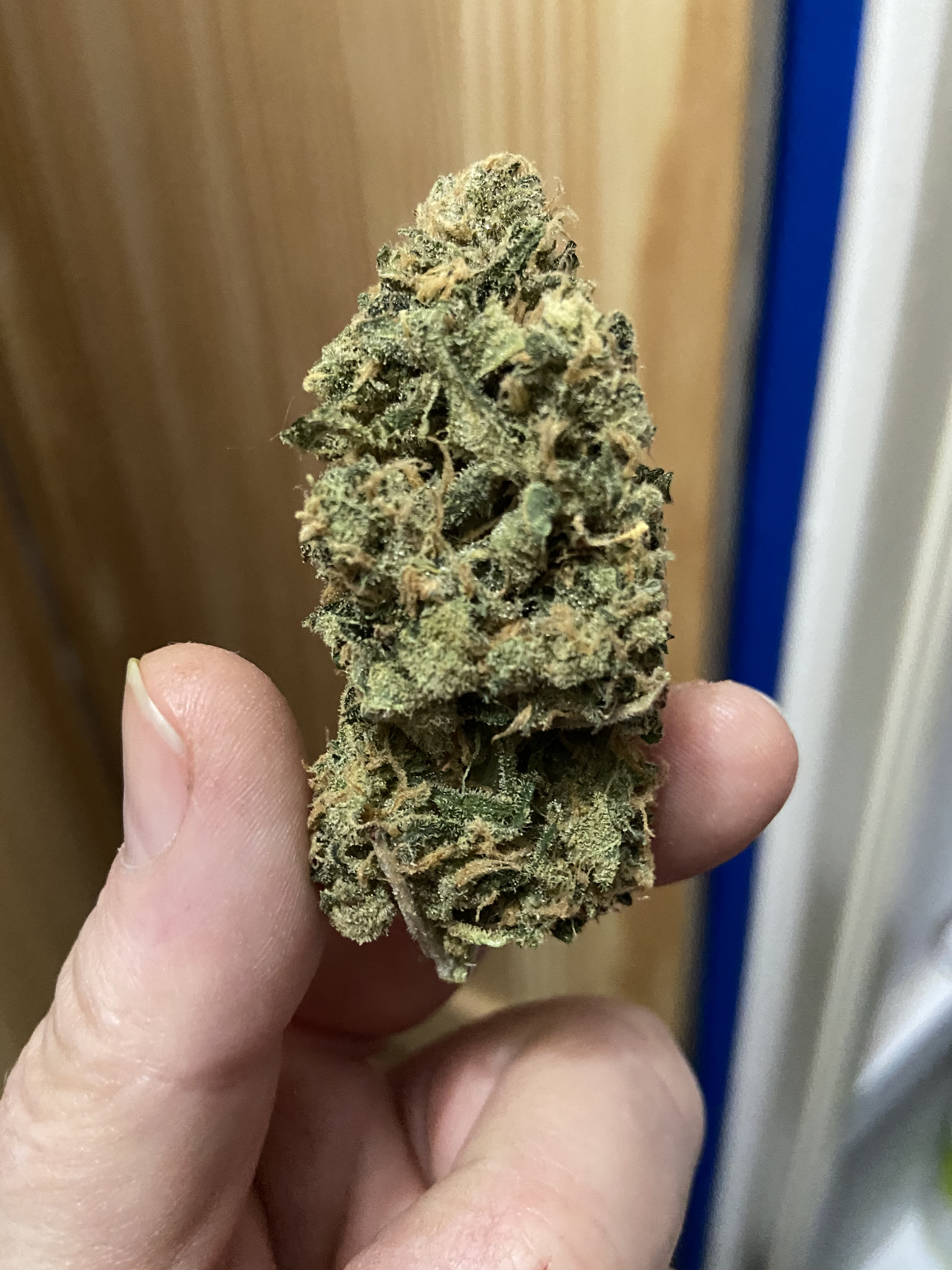 BF ck ksh cured 3.5mos.JPG