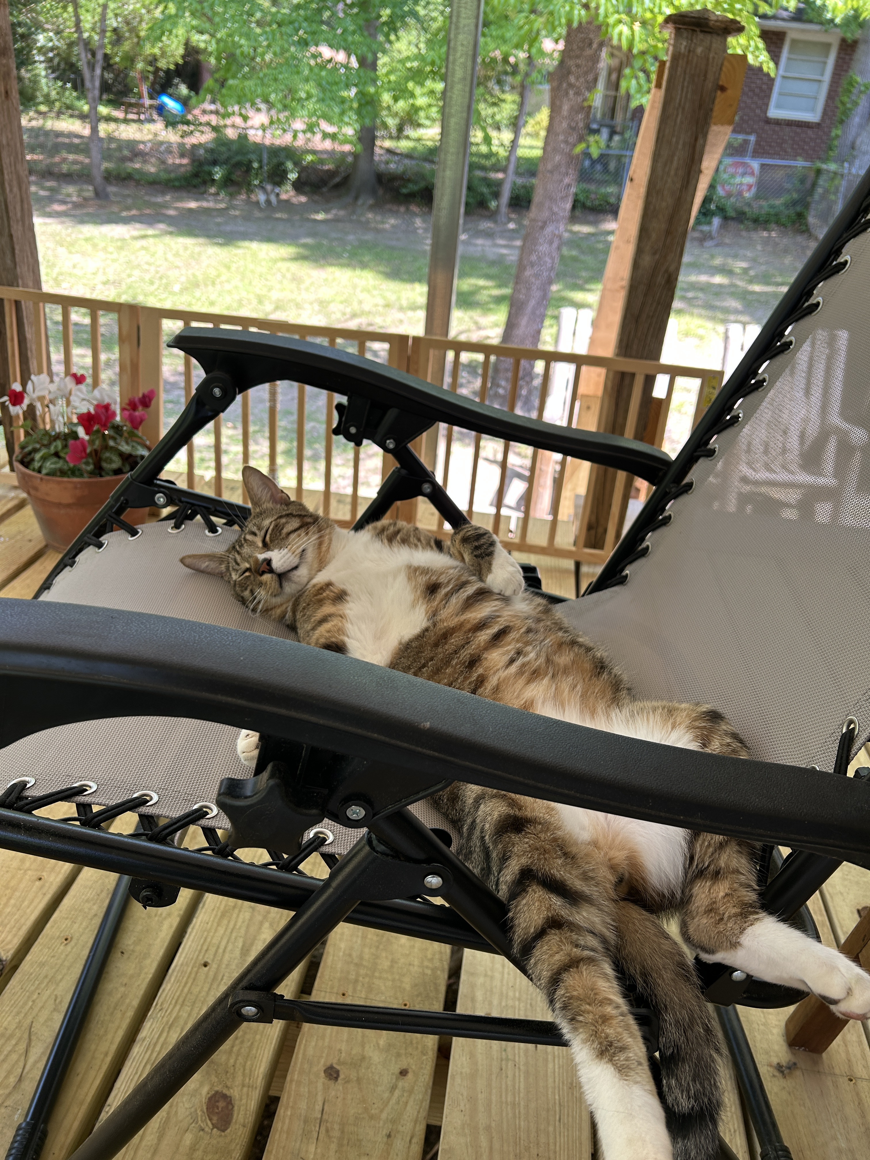 biggie sprawl on deck.jpg