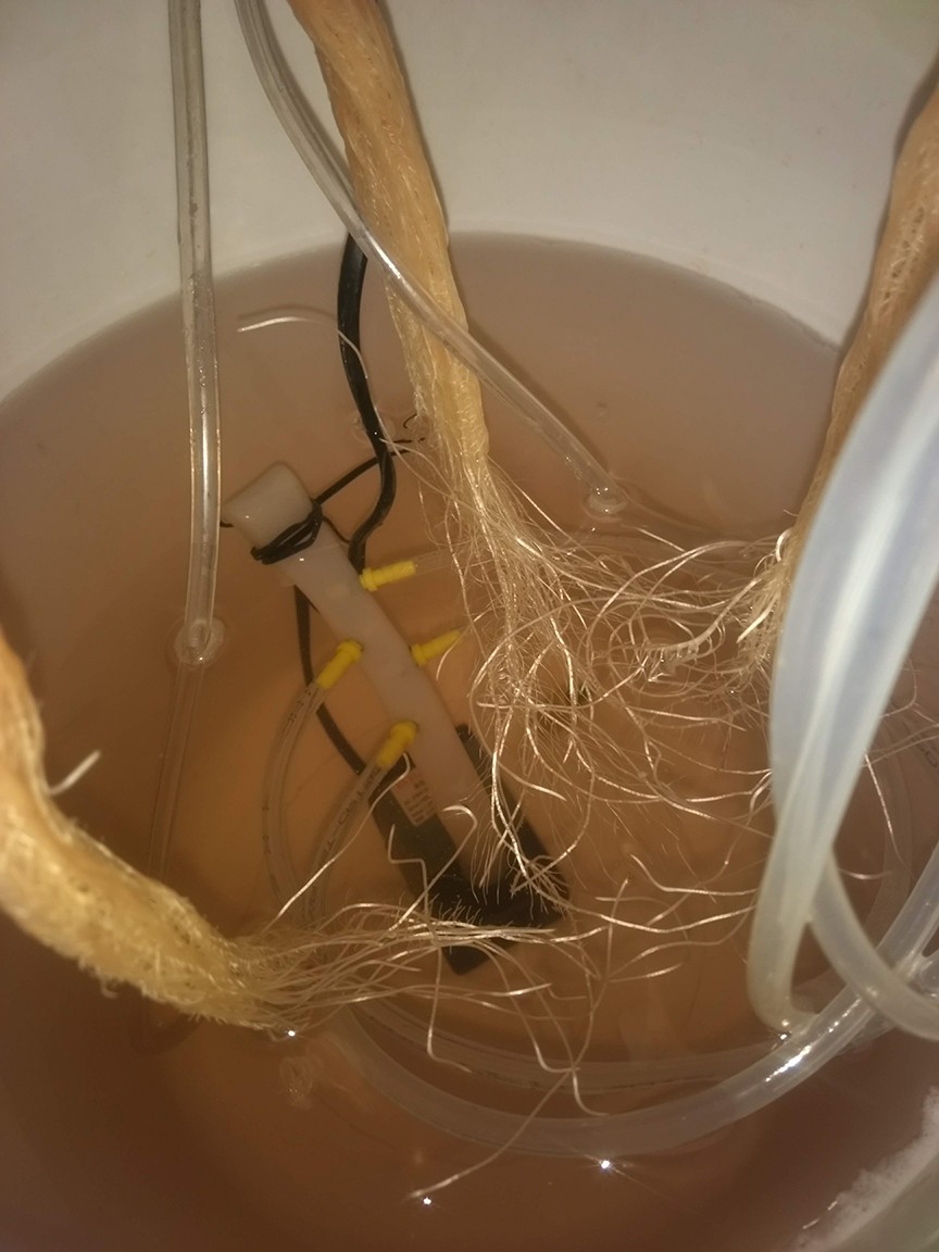 no rot inside the water - Click image for larger versionName:	bKlV0NO.jpgViews:	1Size:	134.1 KBID:	295392