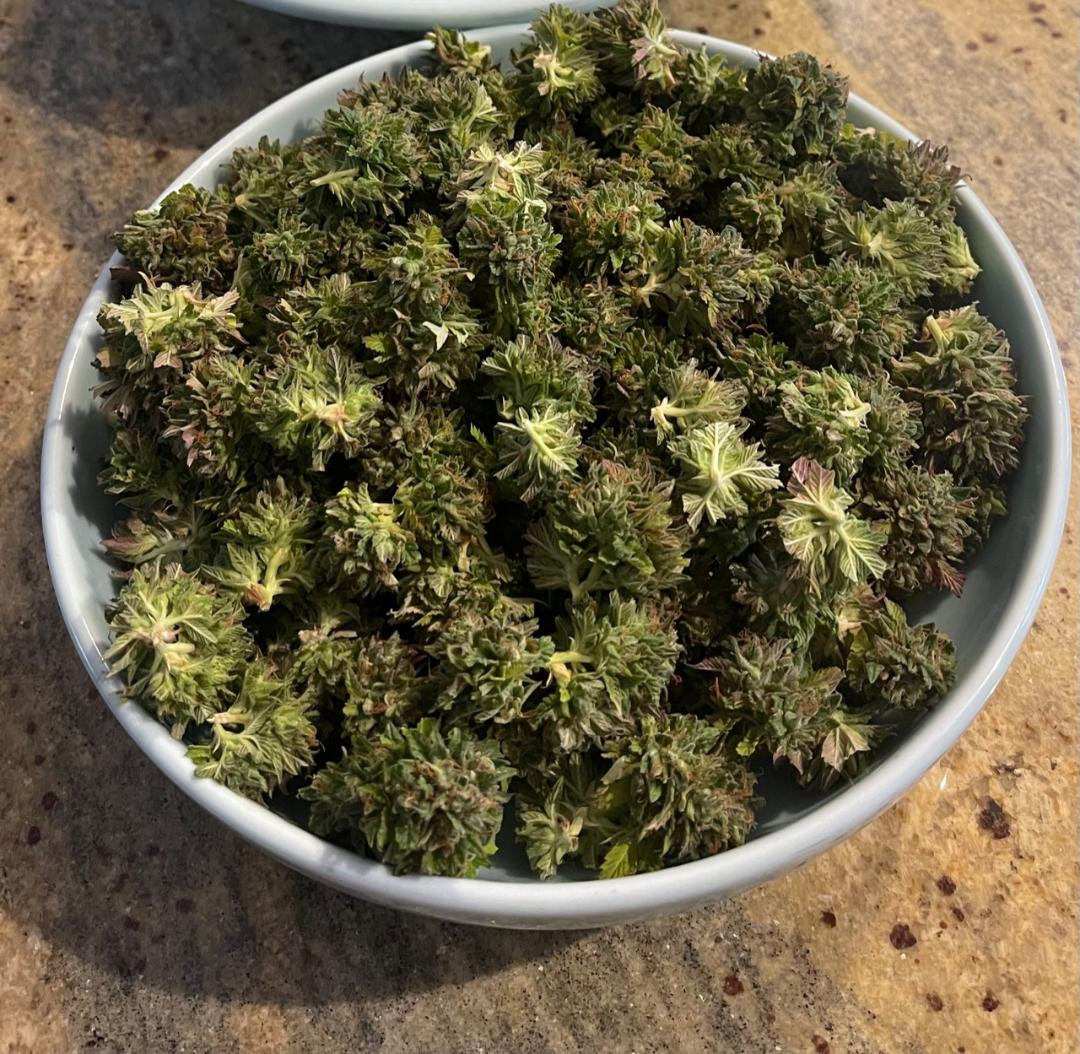 bowl trim.jpg