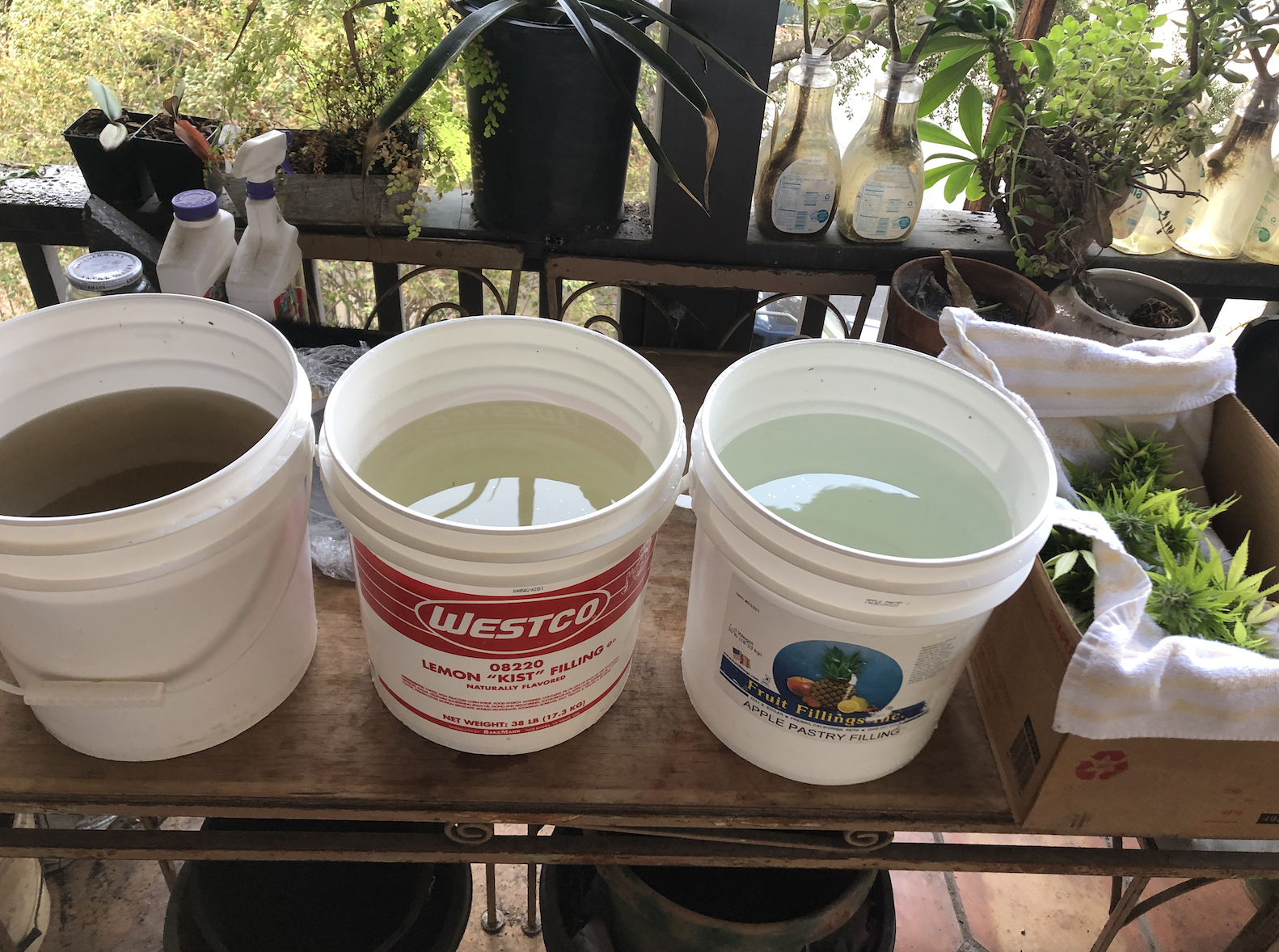 Buckets.png