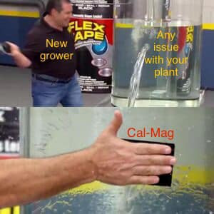 cal-mag.jpg