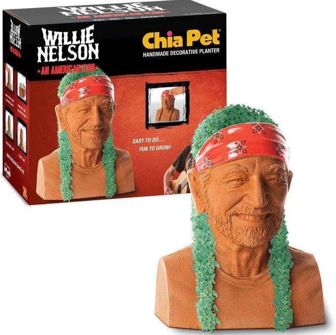 ChiaWillie.jpg