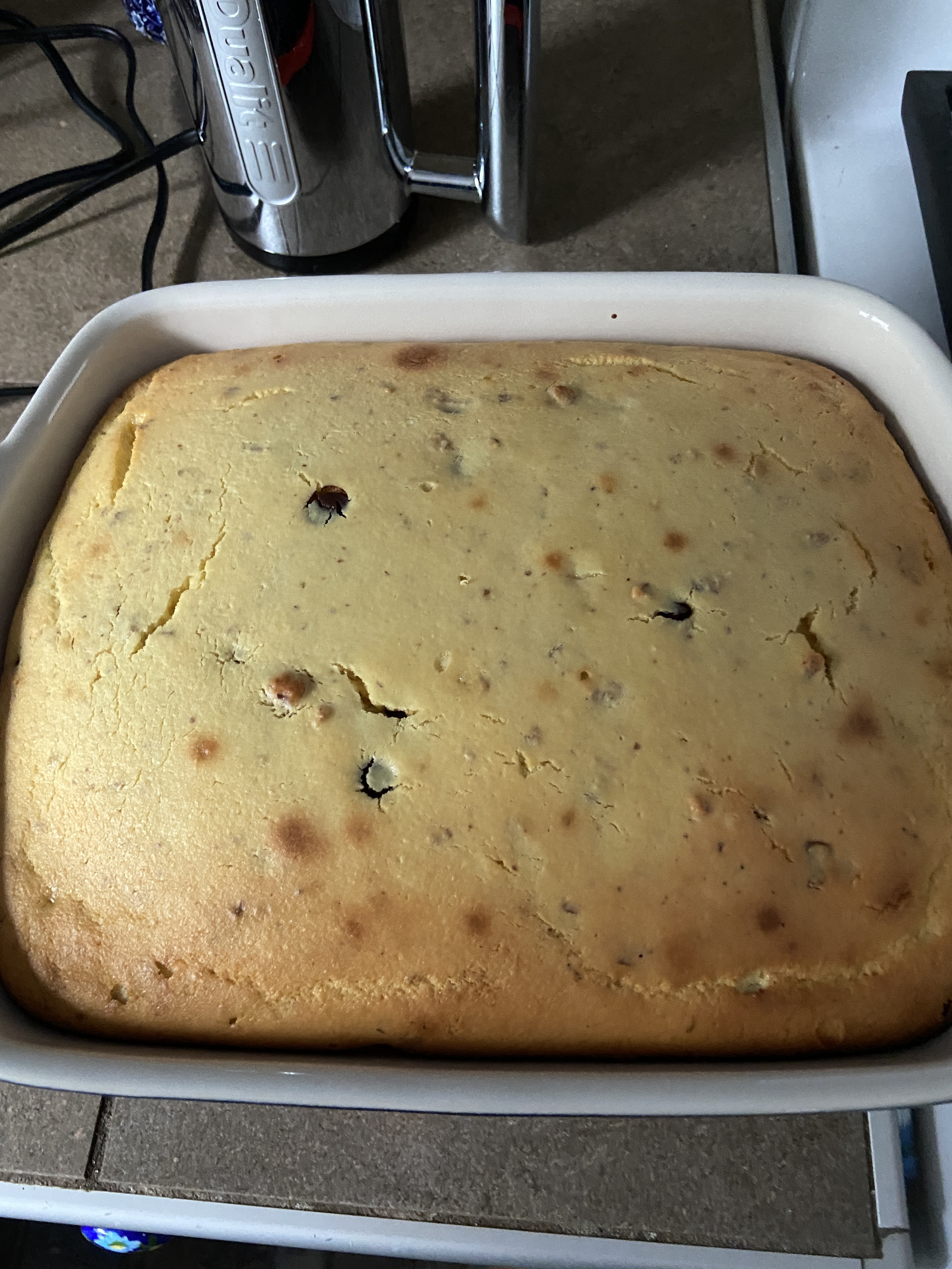 choc chip cake.JPG