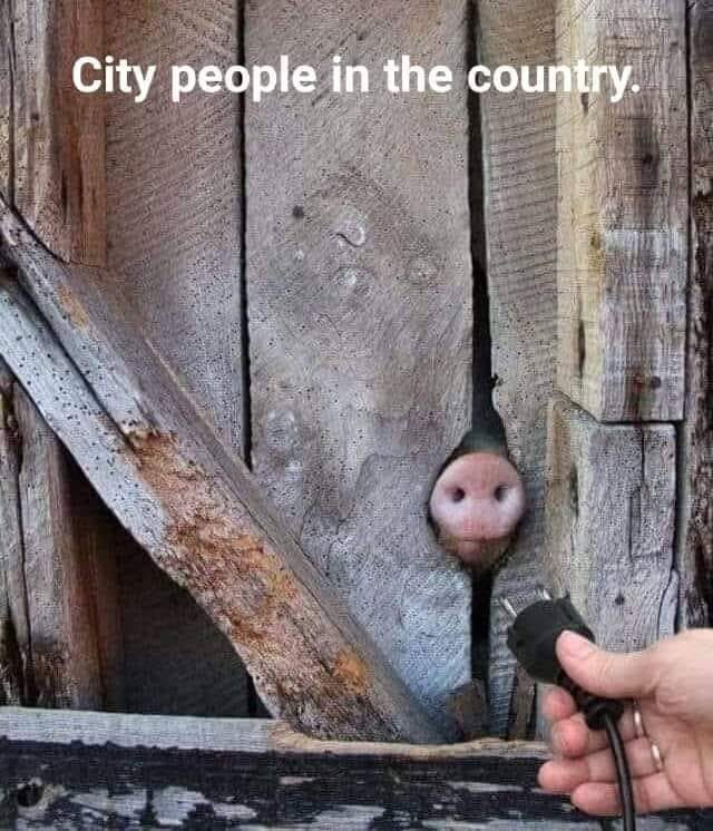 city people.jpg