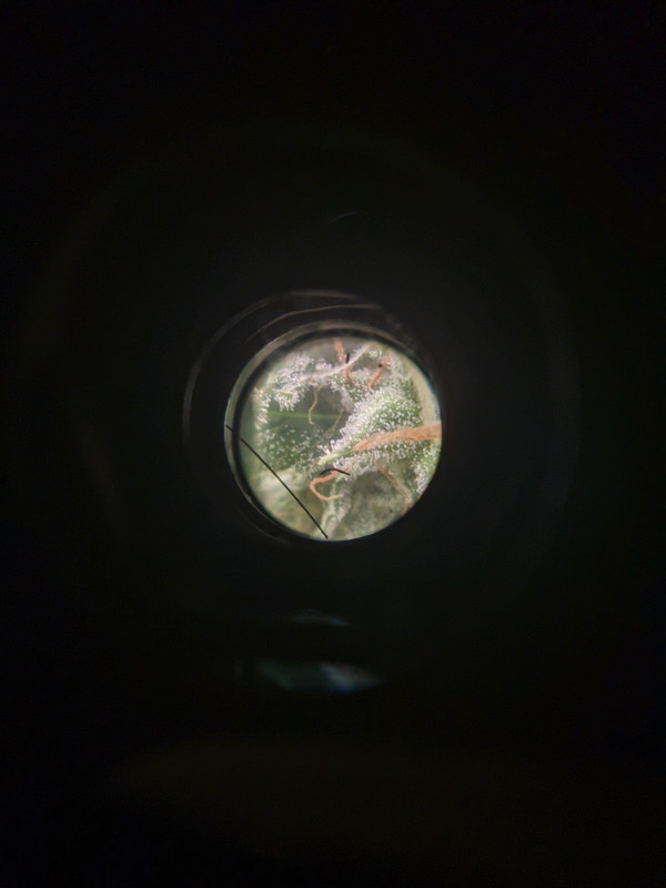 clean-Image2.jpg
