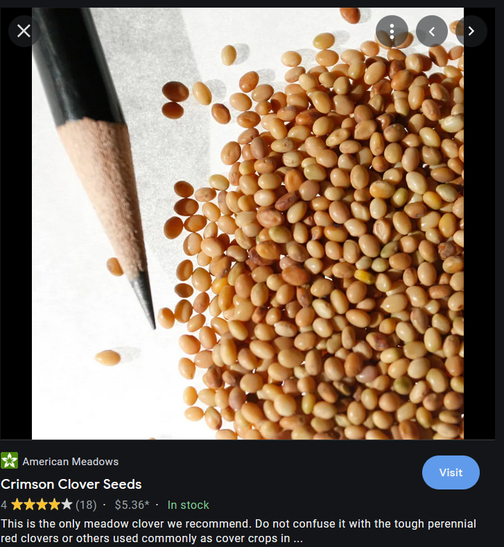 CLOVER SEED.PNG