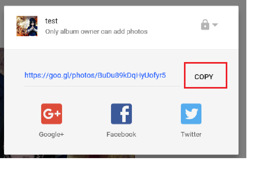 copy.png