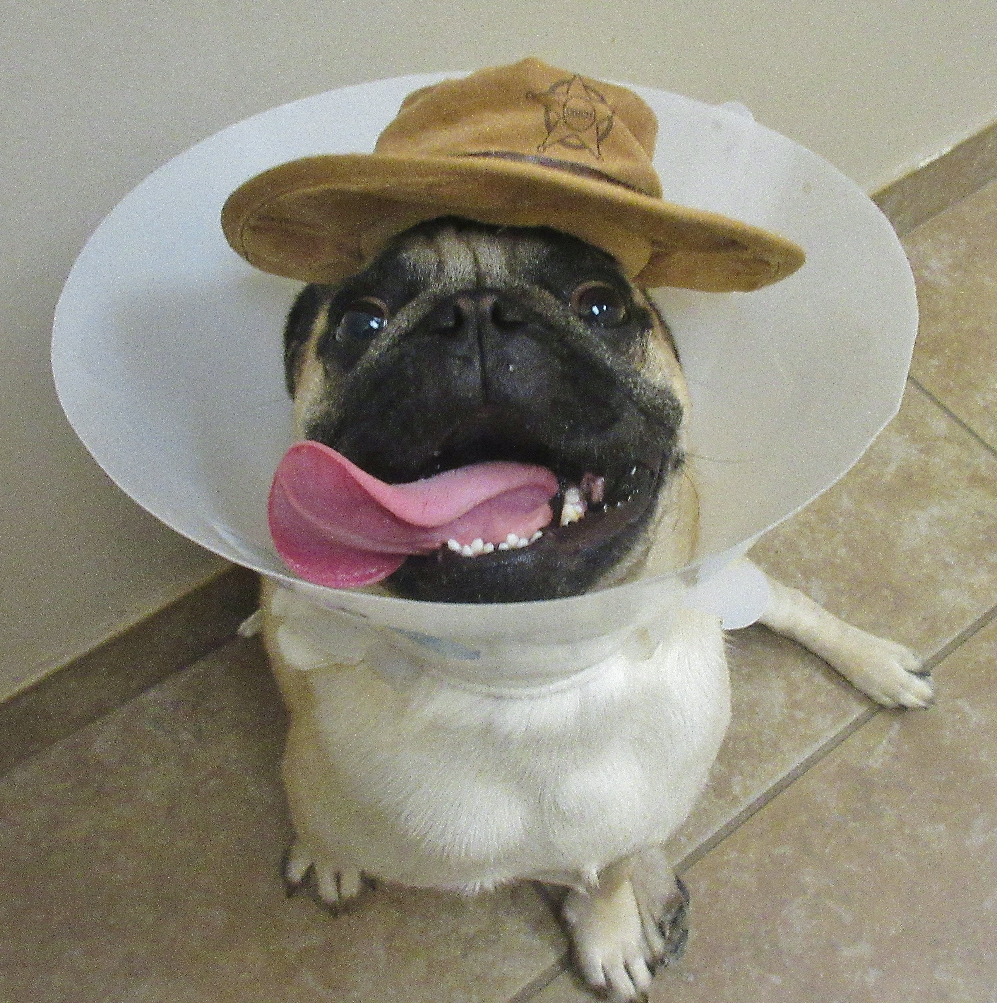 CowboyLiam.JPG