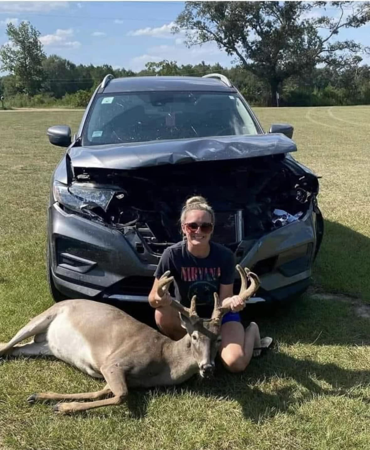 DEER CAR.jpg