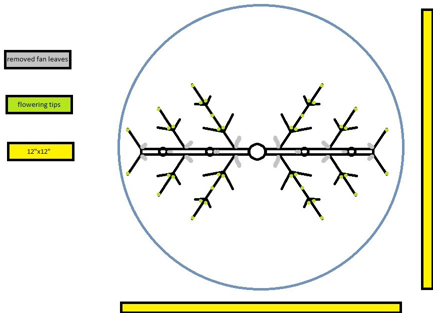 Click image for larger version  Name:	Diagram1 (2).jpg Views:	53 Size:	81.9 KB ID:	464553