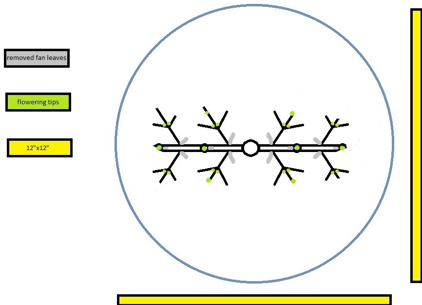 Click image for larger version  Name:	Diagram1 (3)_LI.jpg Views:	0 Size:	71.2 KB ID:	532938