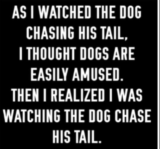 Dog.png