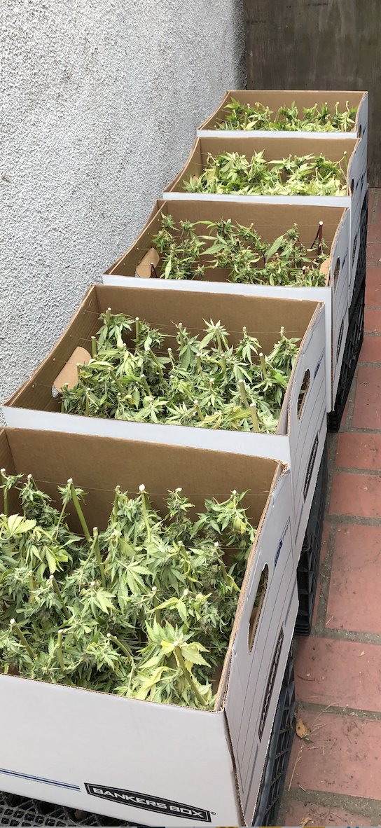 Drying Boxes.png