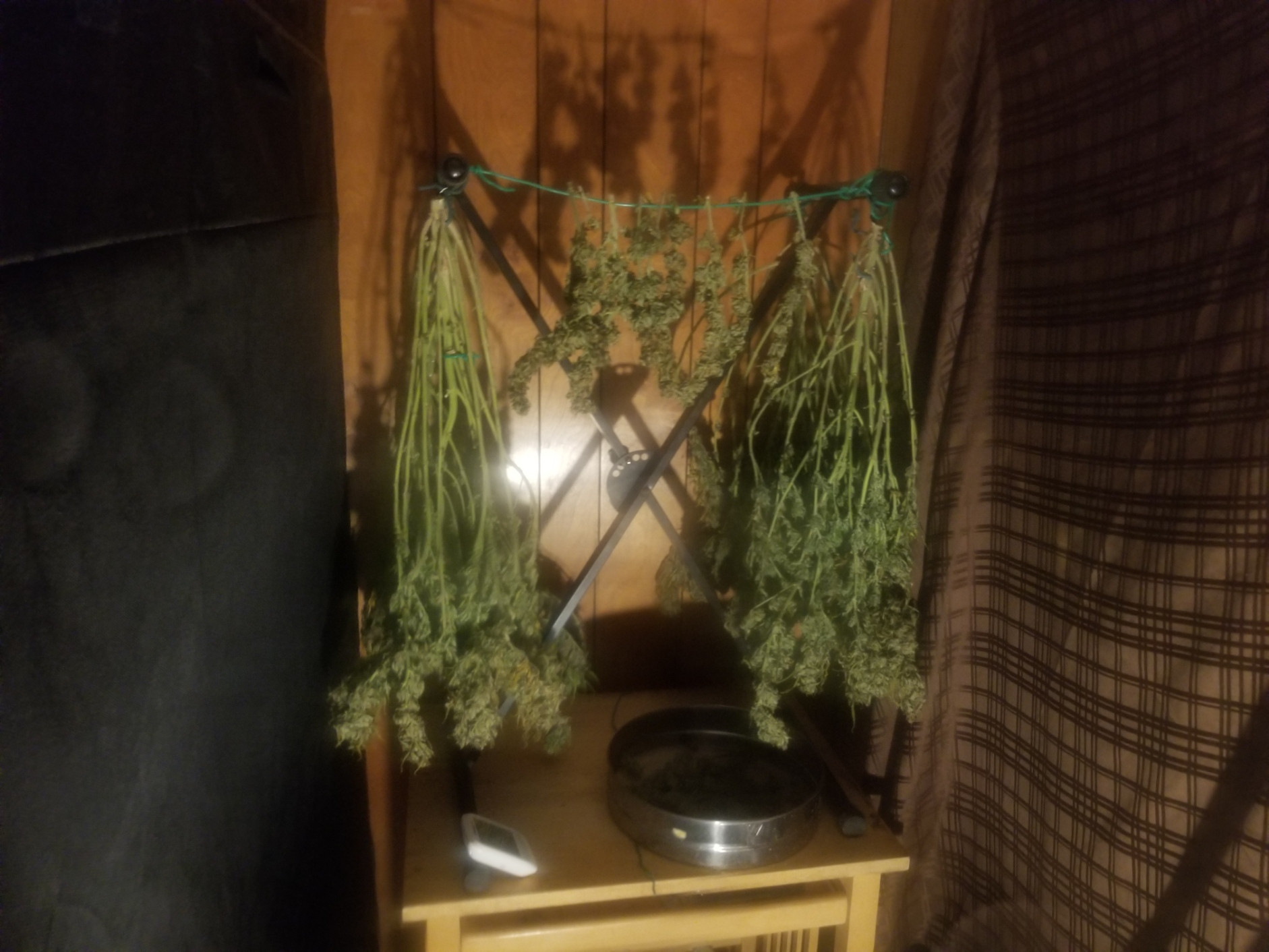 Drying.jpg