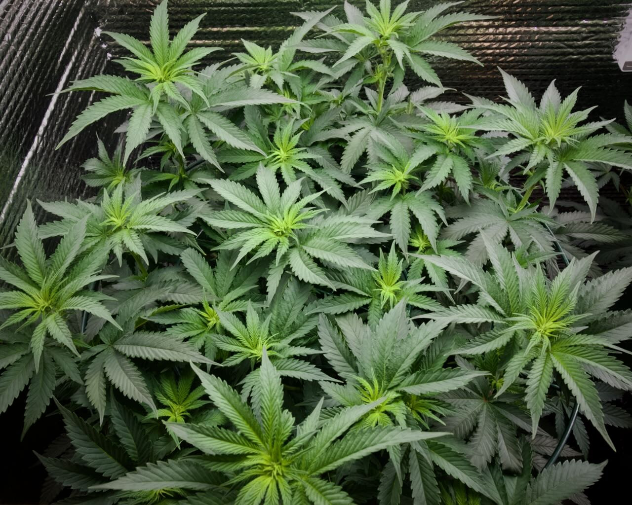 DSC_1328.jpg