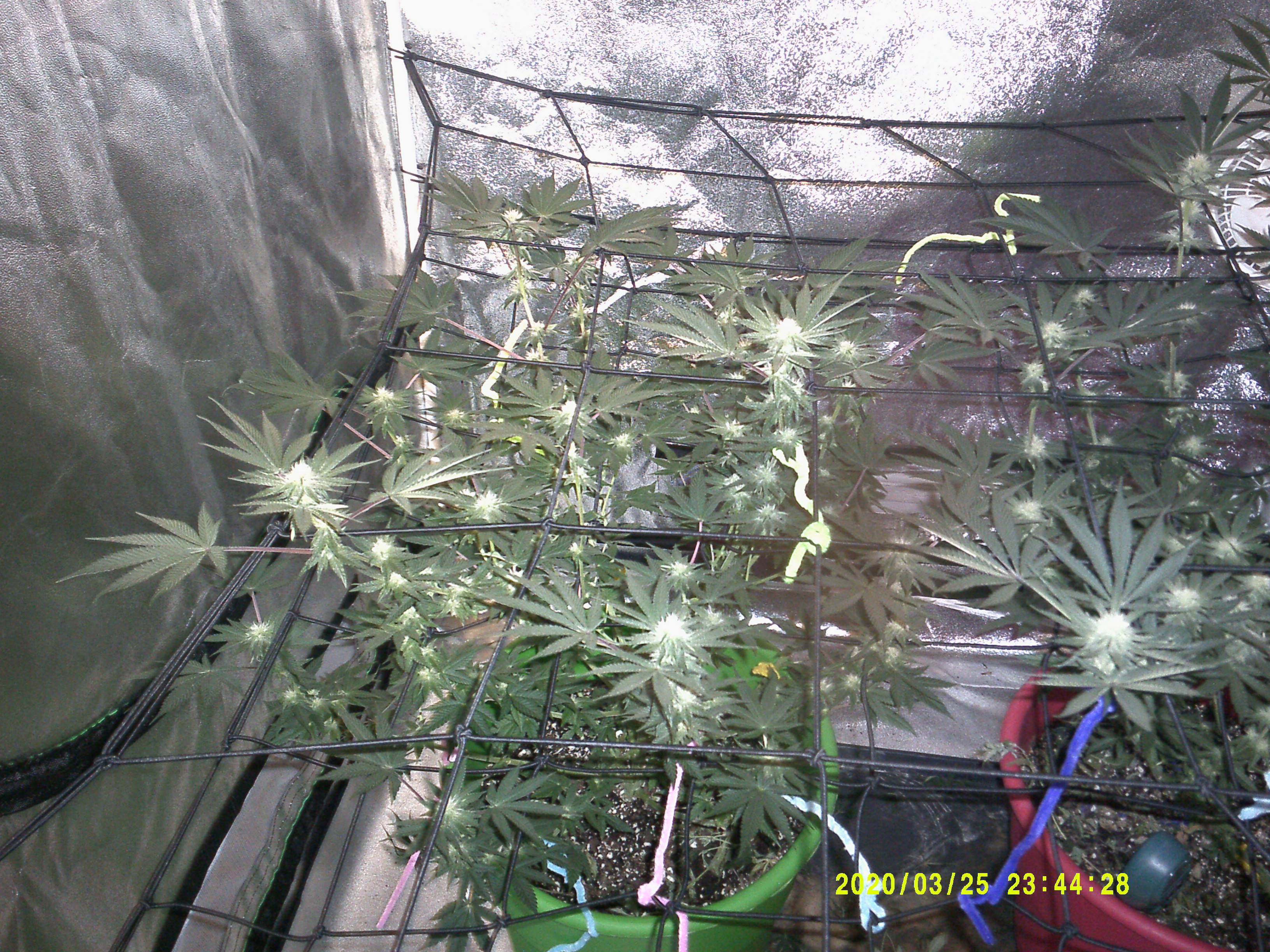 DSCF0063.JPG