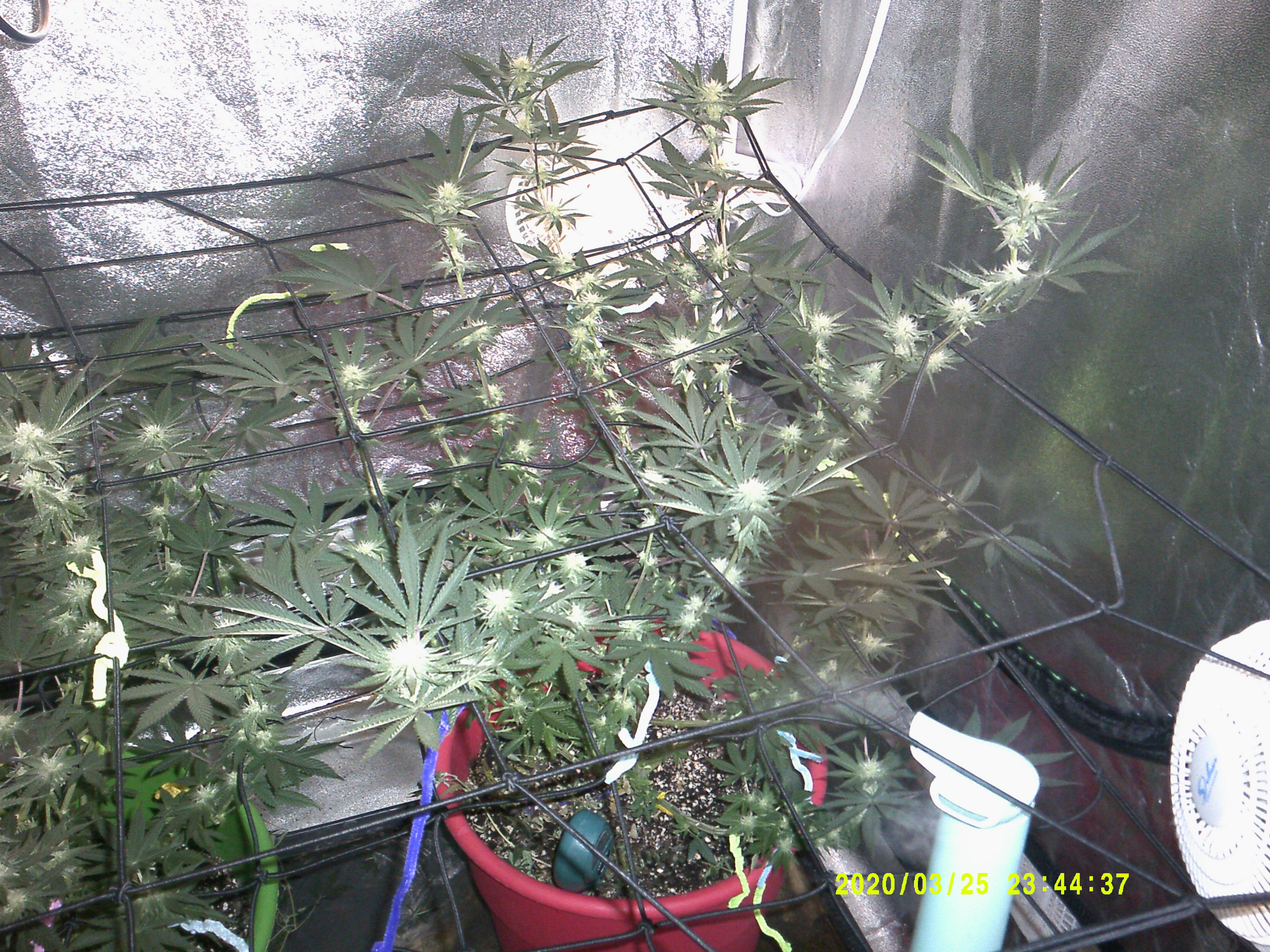 DSCF0064.JPG