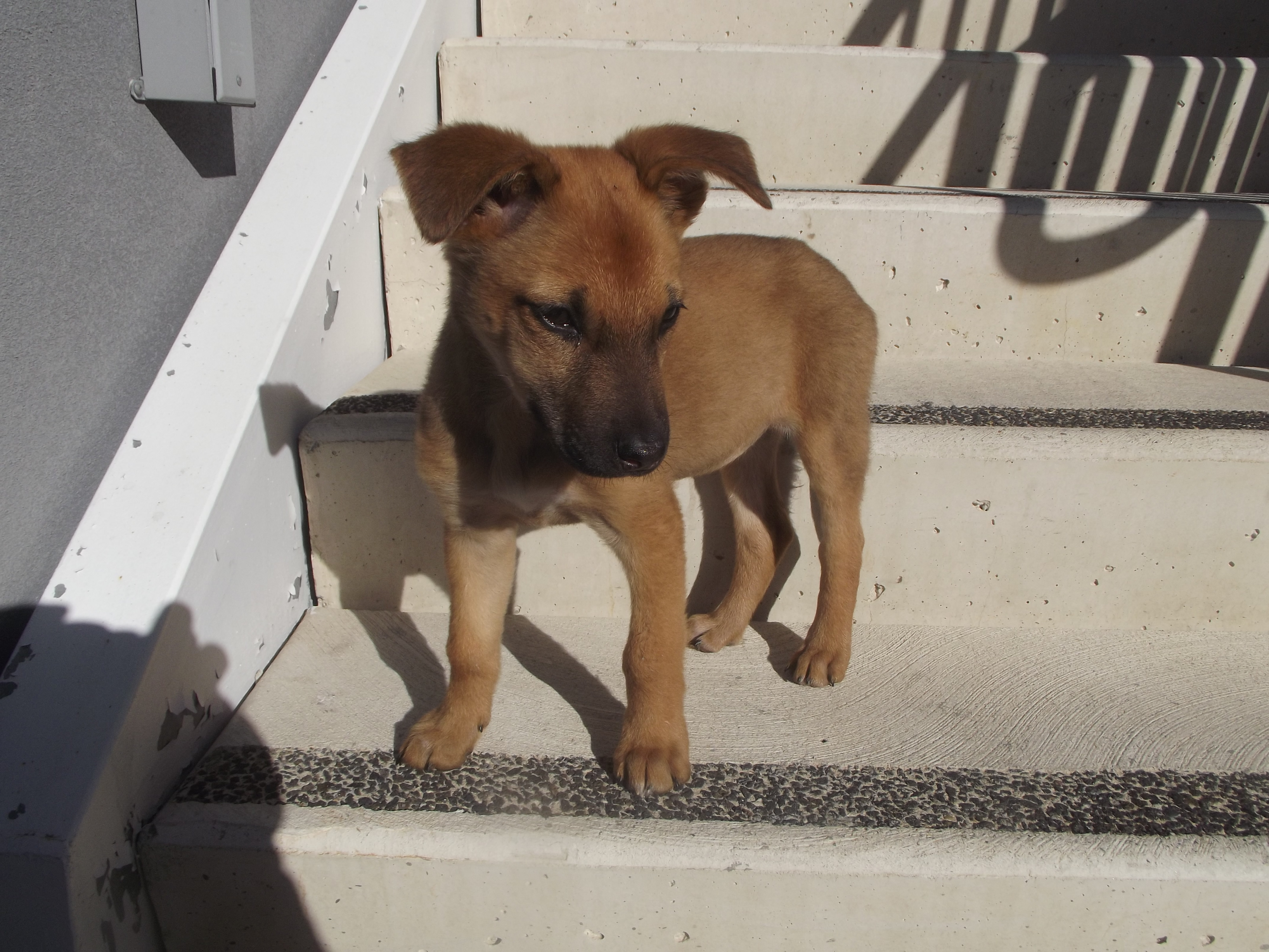 DSCF5397.jpg