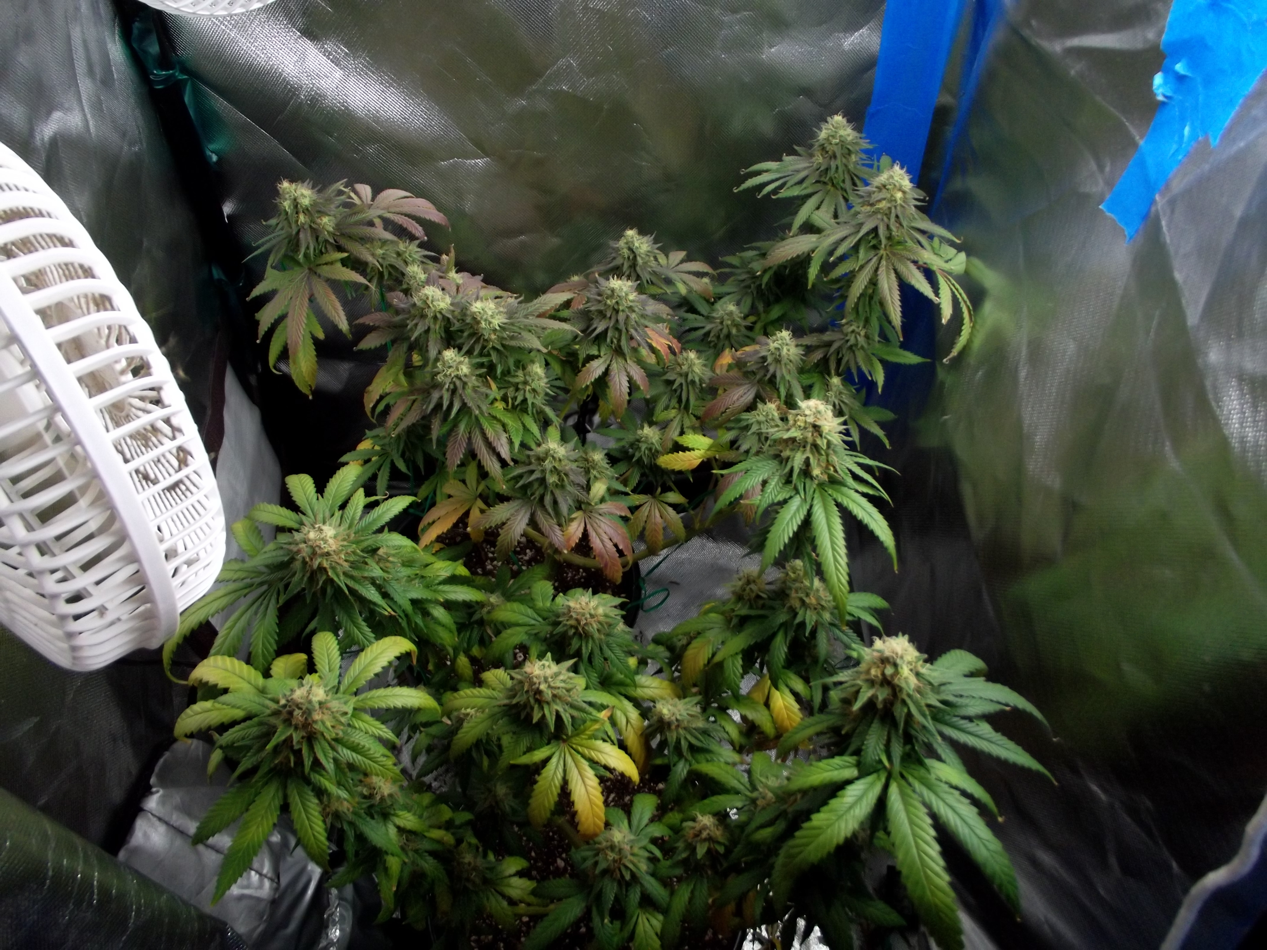 DSCF6225.jpg