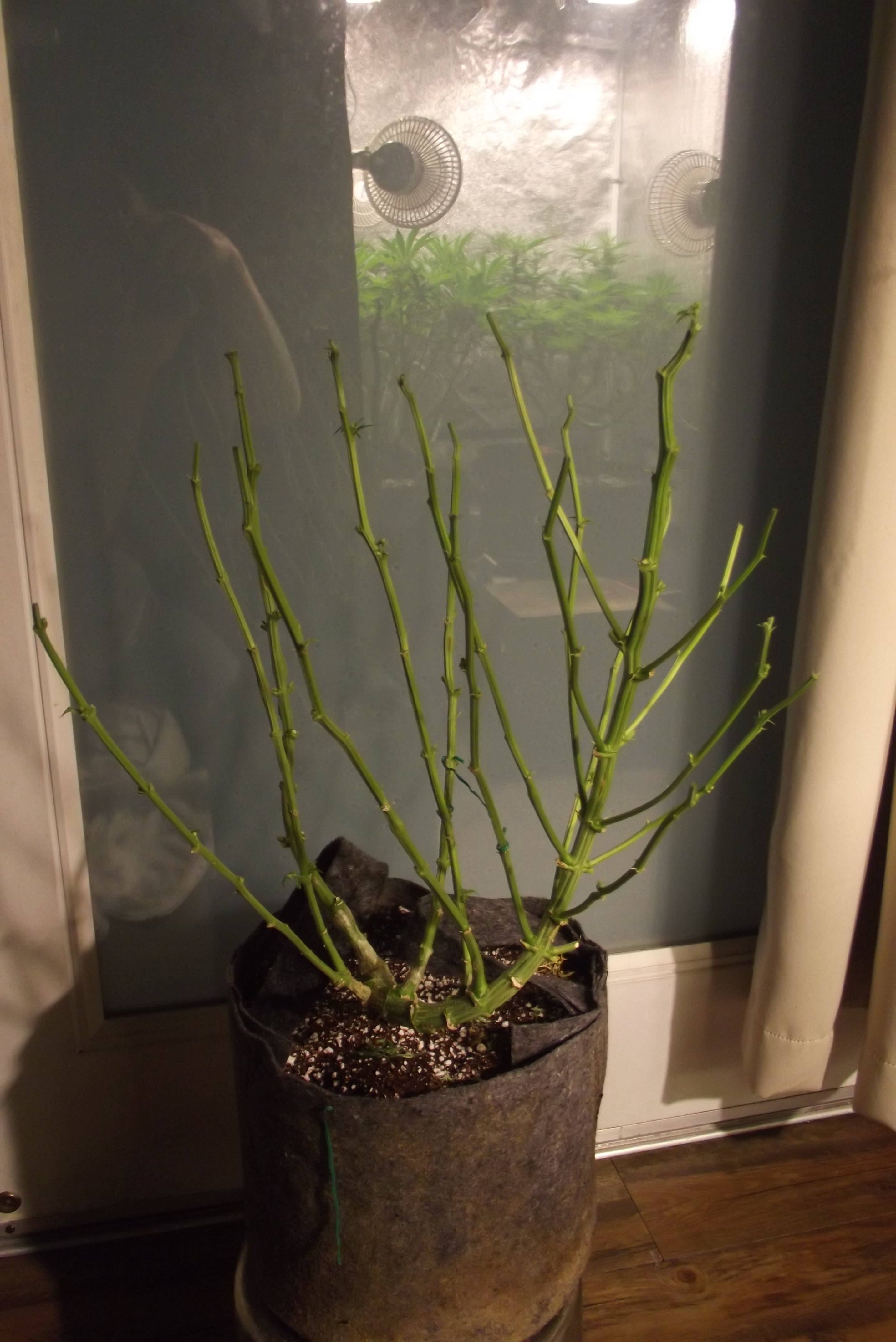 DSCF7609.JPG